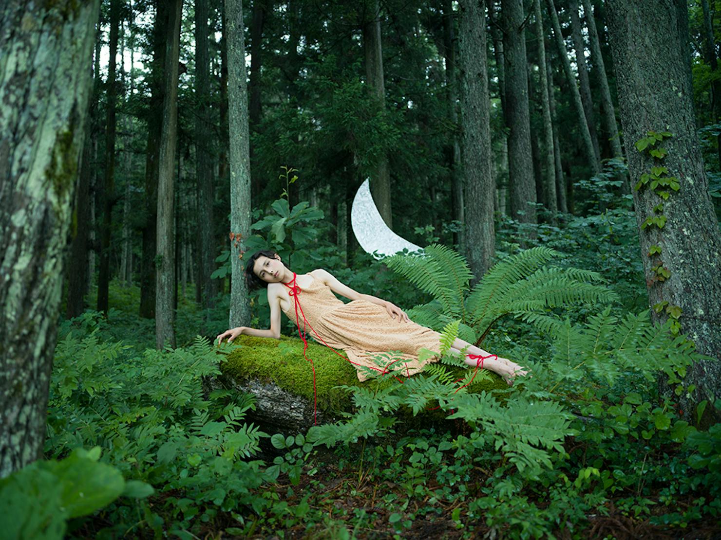 Carousel　　カルーセル