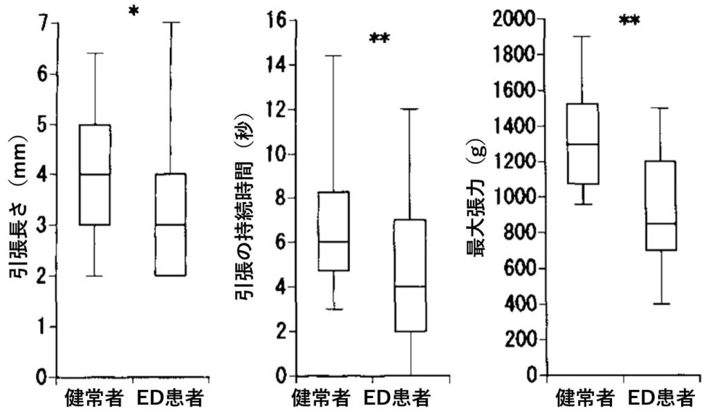 骨盤底筋力 勃起 ED