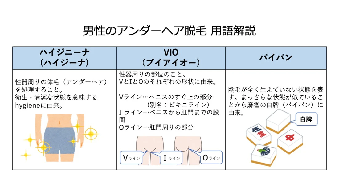 男性　パイパン　種類　用語　セックス