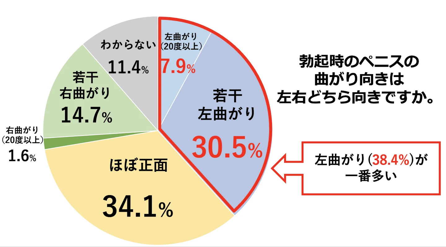 ペニス　曲がり　向き　オナニー　ちんこ