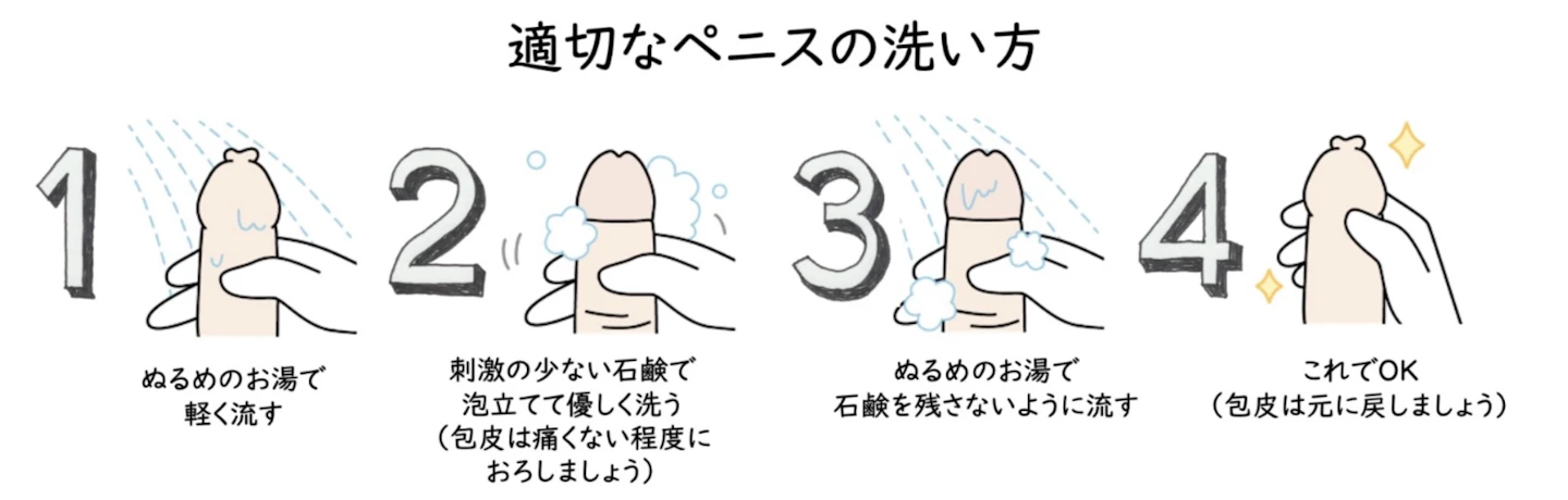 ペニス　ちんちん　ちんこ洗い方　亀頭包皮炎
