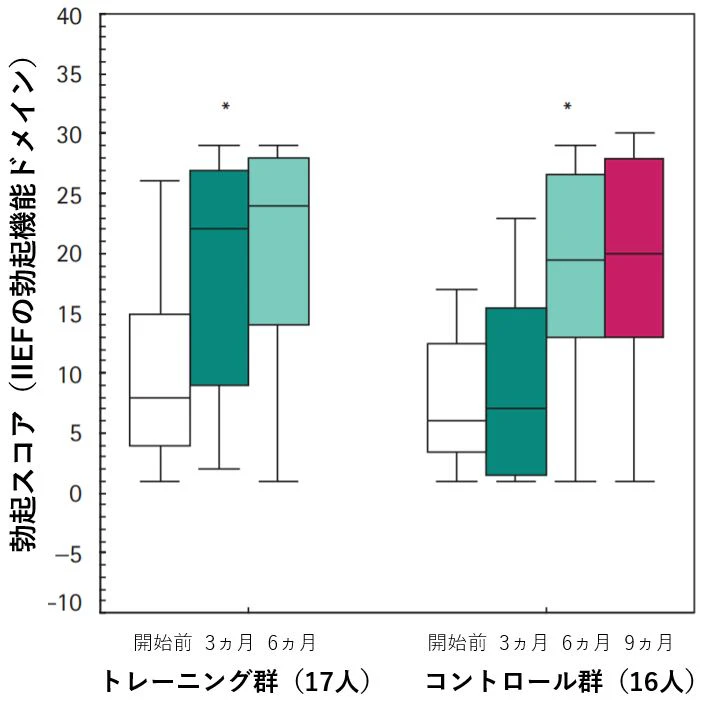 骨盤底筋トレーニング 勃起 ED改善