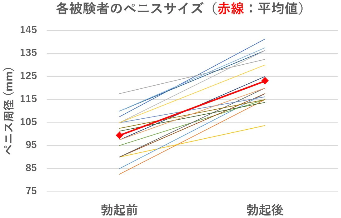 ペニス 陰茎 ちんこ サイズ 平均 TENGA社員