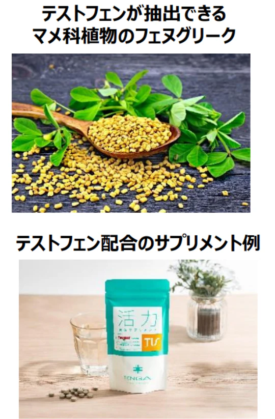 フェヌグリークとテストフェン配合のサプリメント例