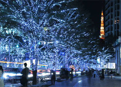 クリスマス☆イルミネーション☆⑦ あなたの好みはどれ？こんなにいろいろあるクリスマスツリー