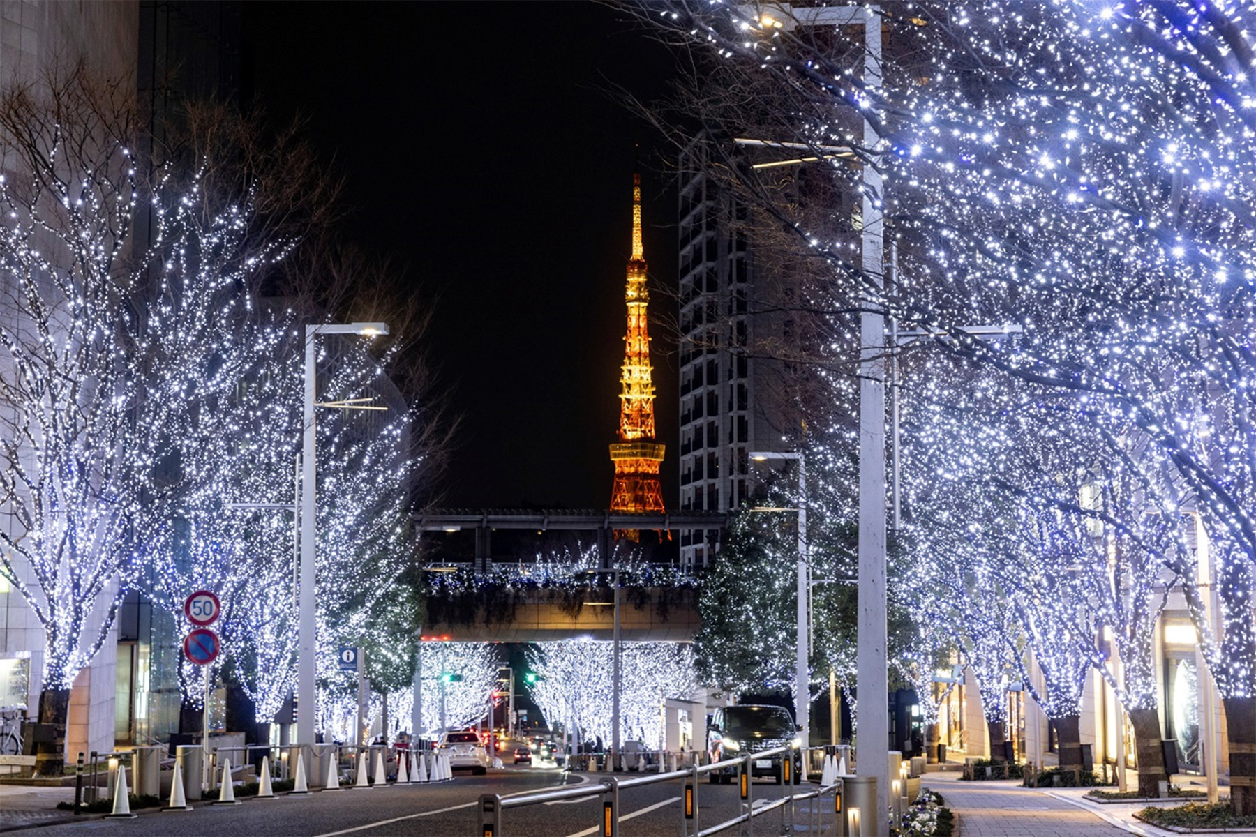 早い者勝ち　クリスマスイルミネーション 六本木ヒルズ】『Roppongi Hills Christmas 2025』開催