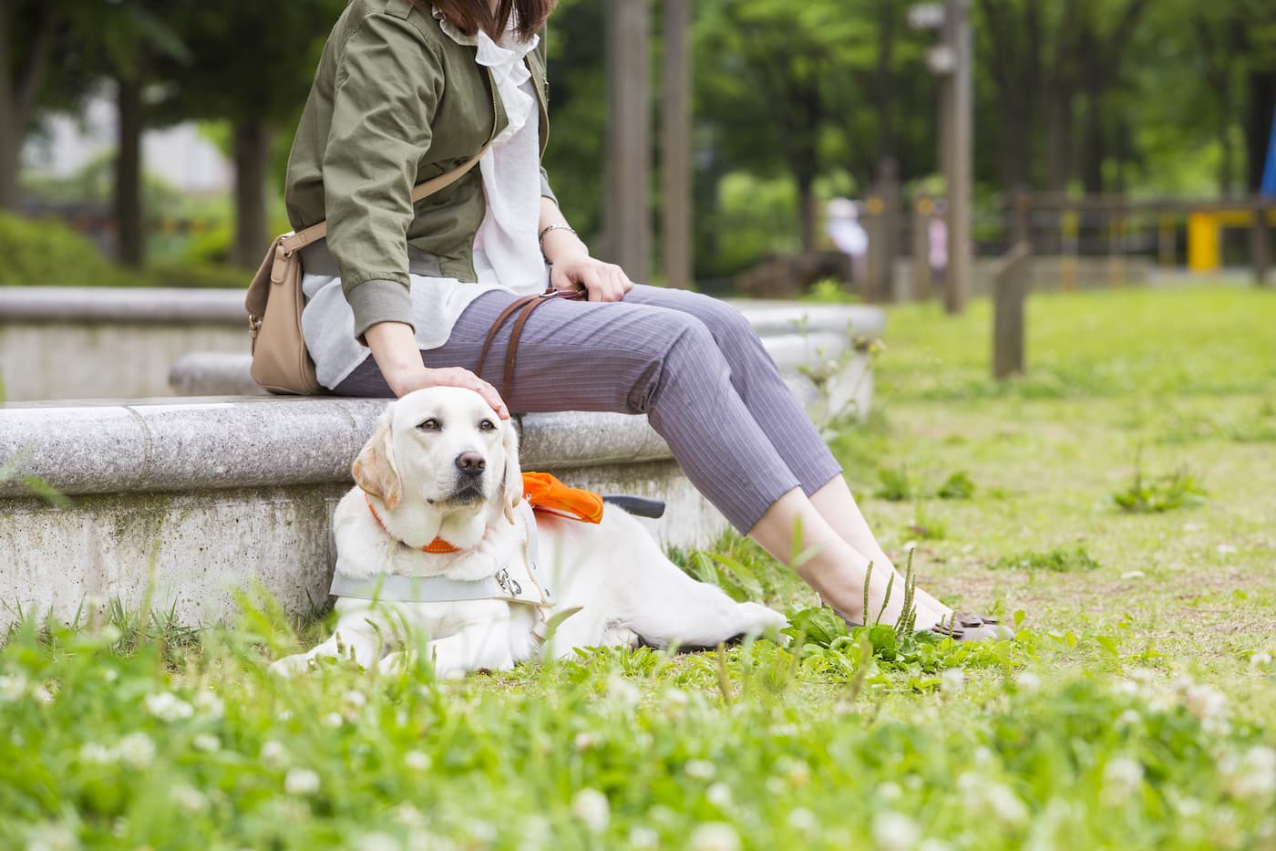 盲導犬育成・普及のお手伝いを通して 誰もが楽しめる社会へ | 玉川