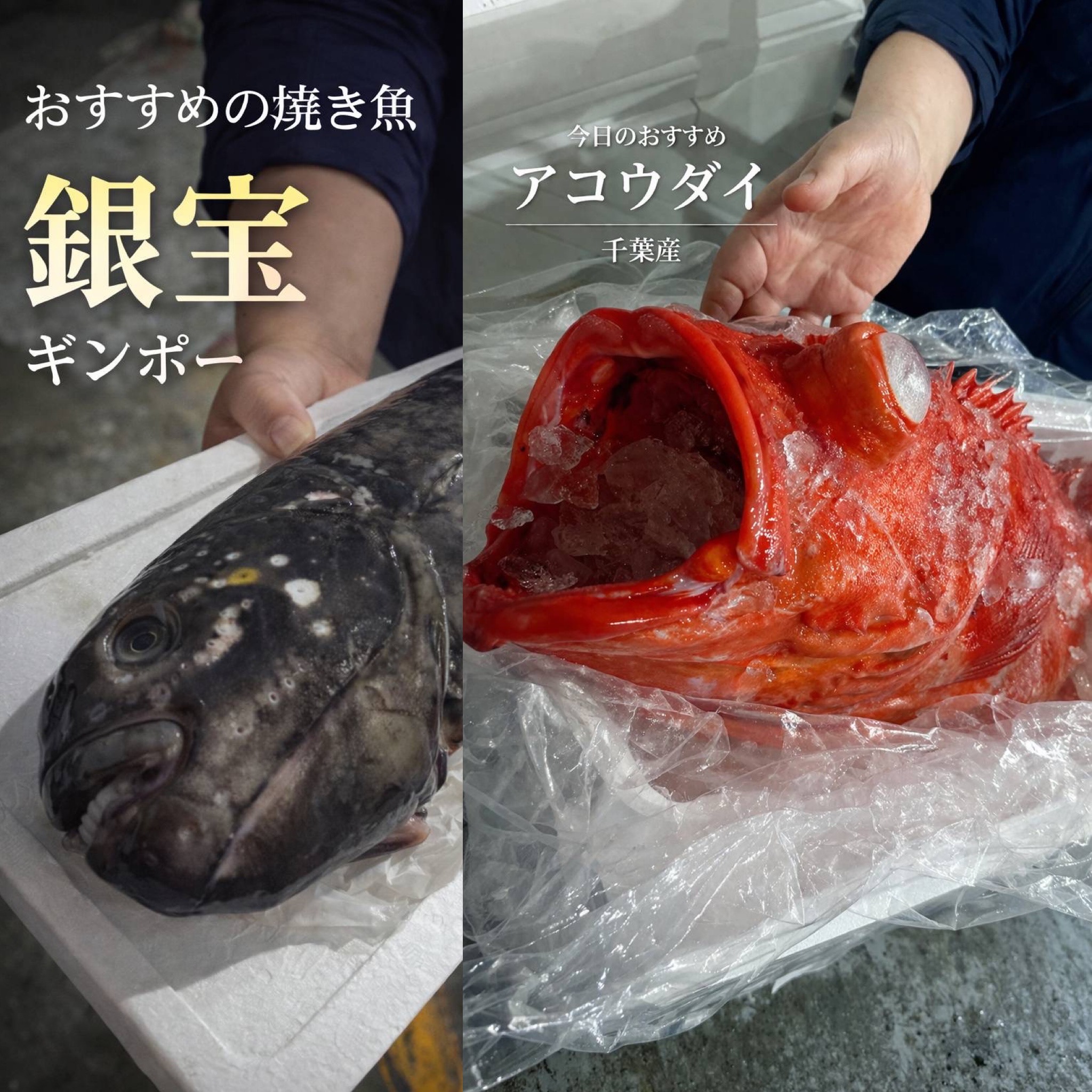 深海の謎