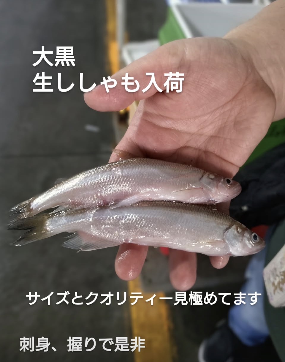 今やシシャモも…