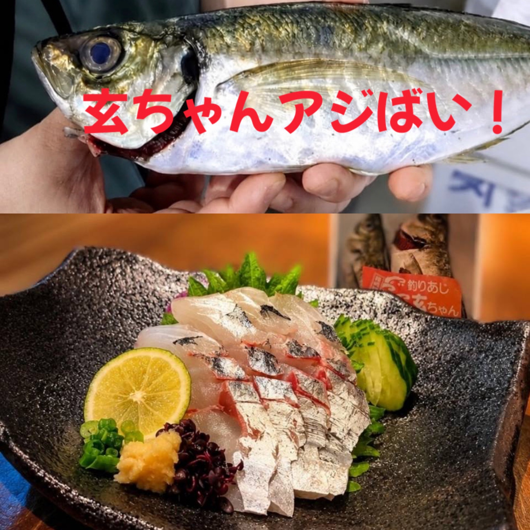 玄界灘育ちたい！