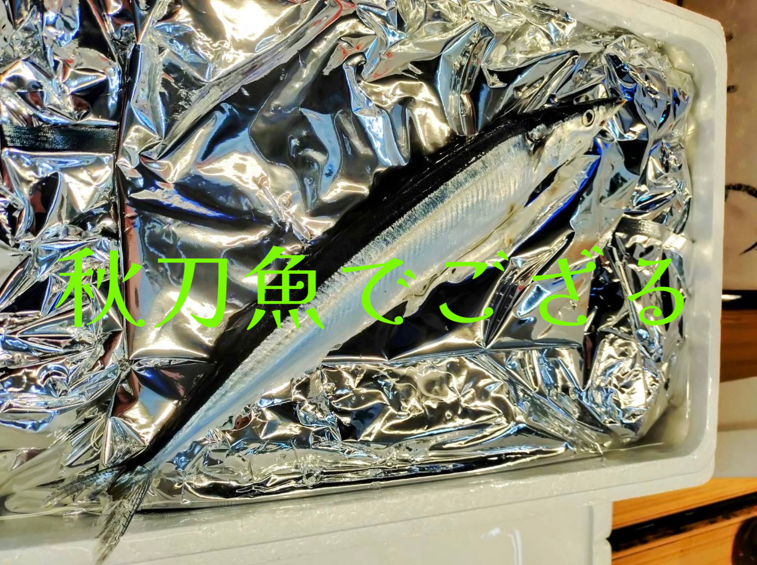 秋刀魚をどうぞ🐟