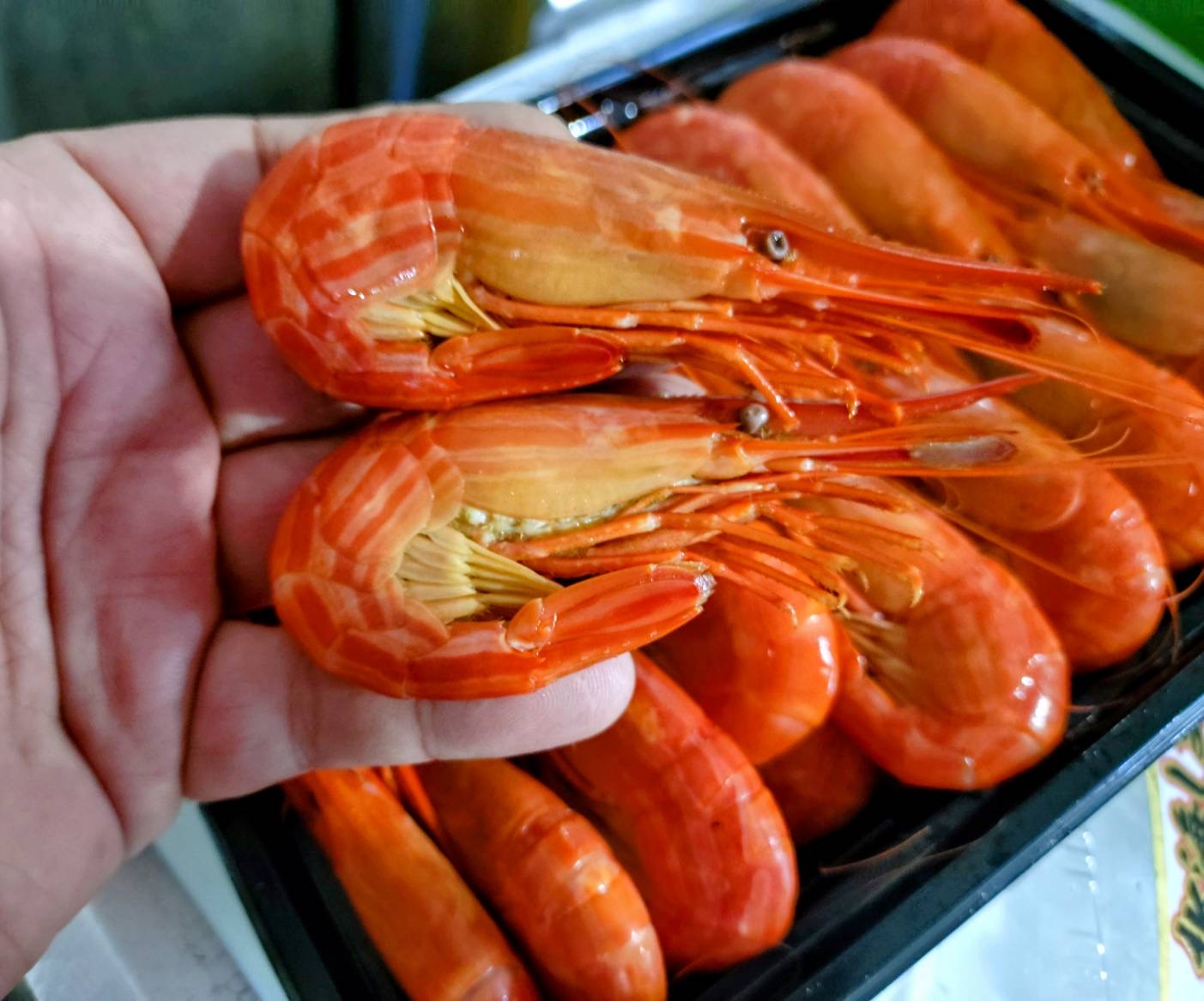 なんてったって北海シマエビ！