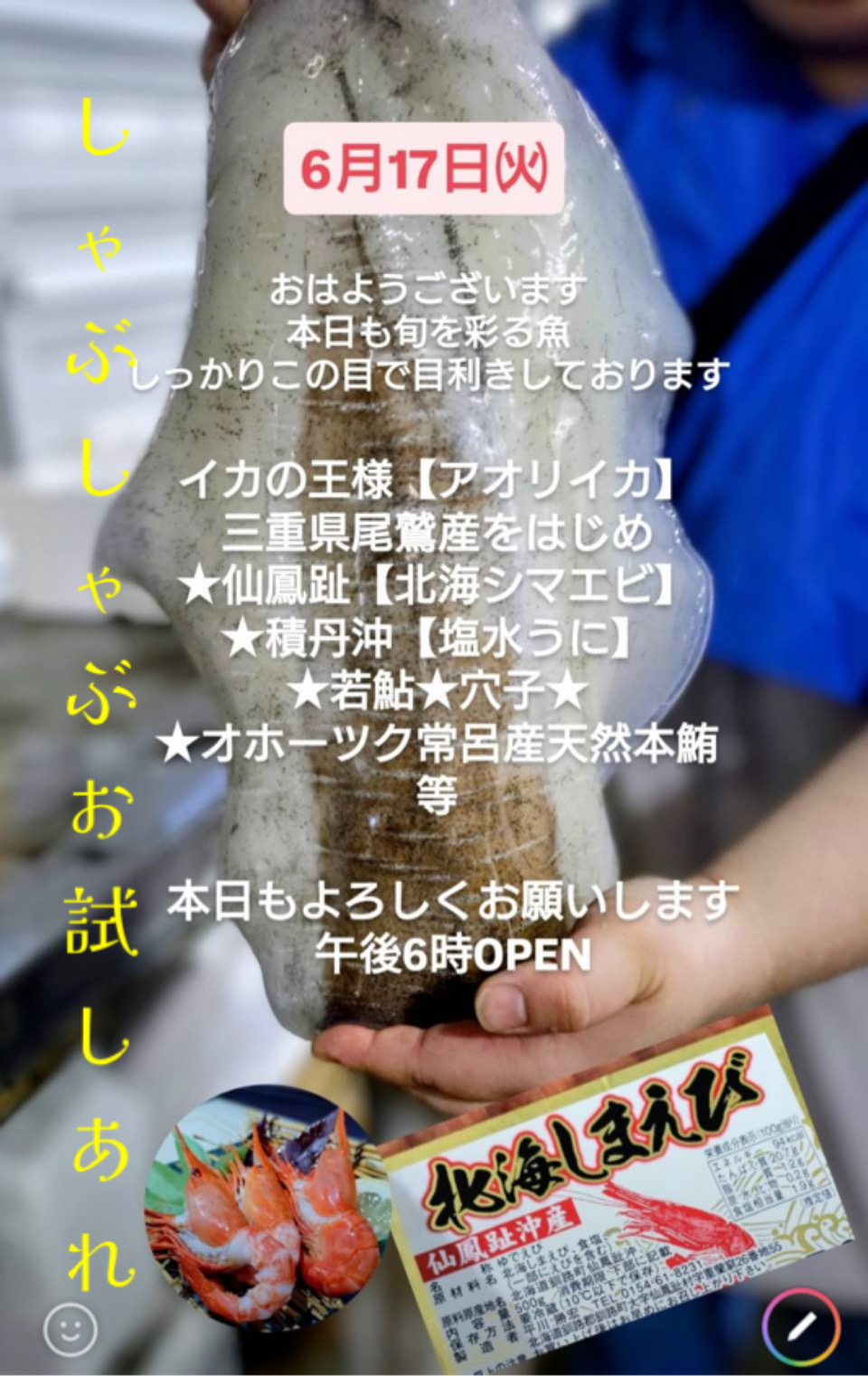 アオリイカのシャブシャブ！