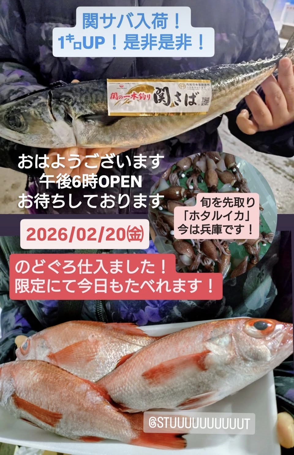 関サバ、ノドグロ食べちゃいましょ♡