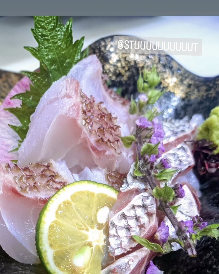 なんてったって桜鯛🌸