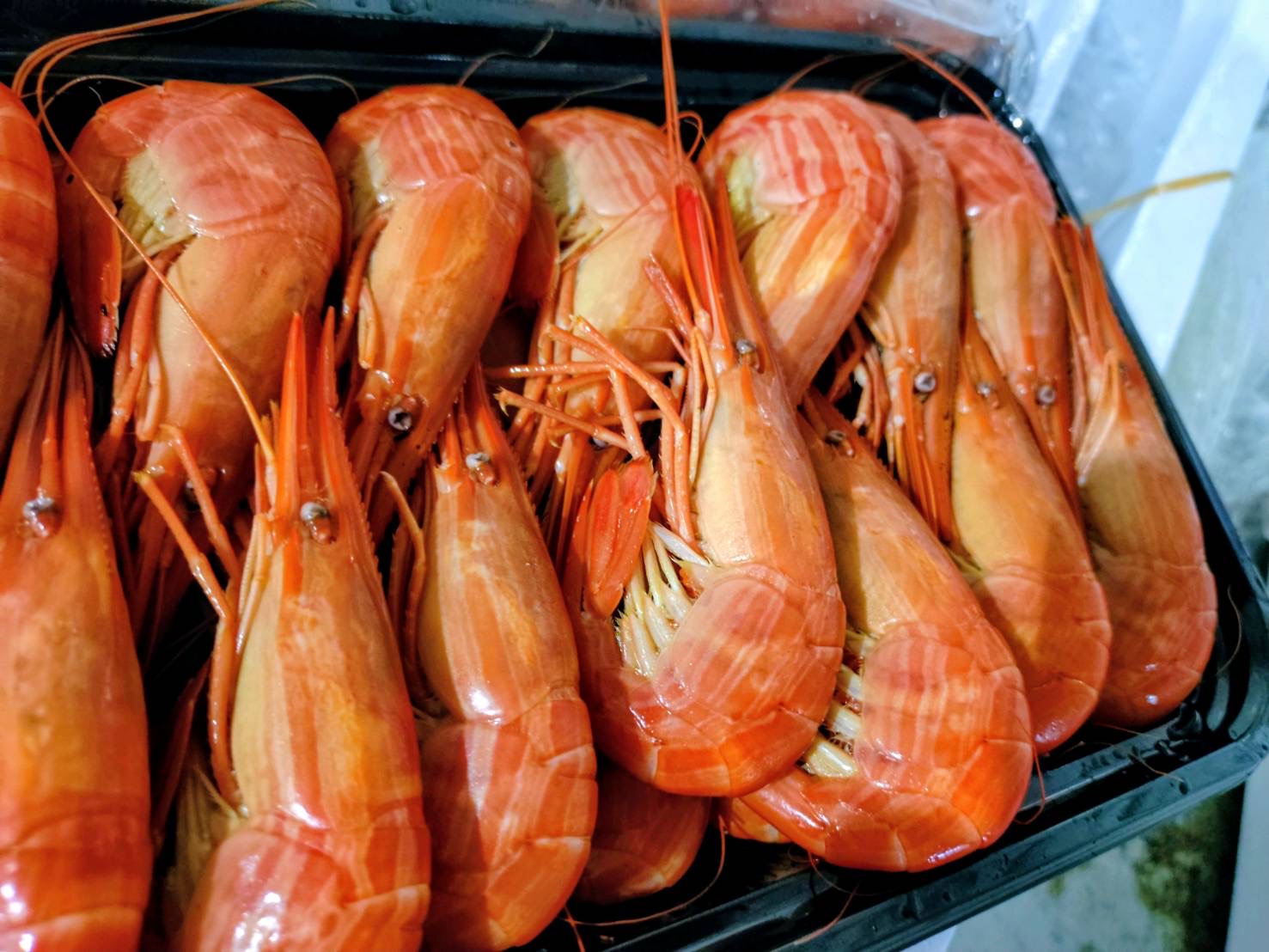 北海シマエビめちゃ美味しい!