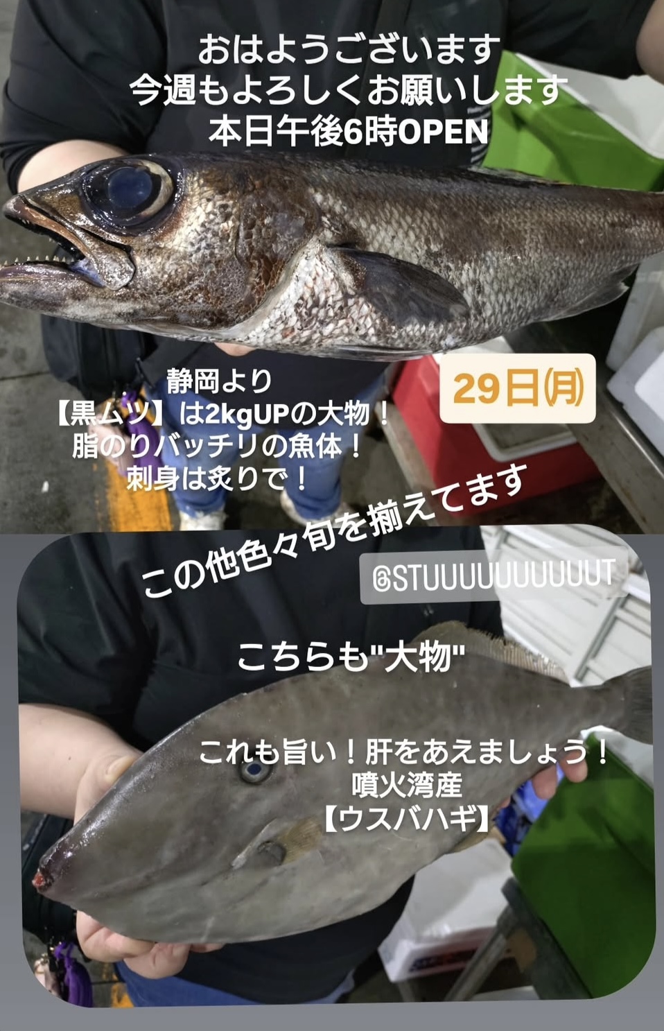 9月も終わりですね