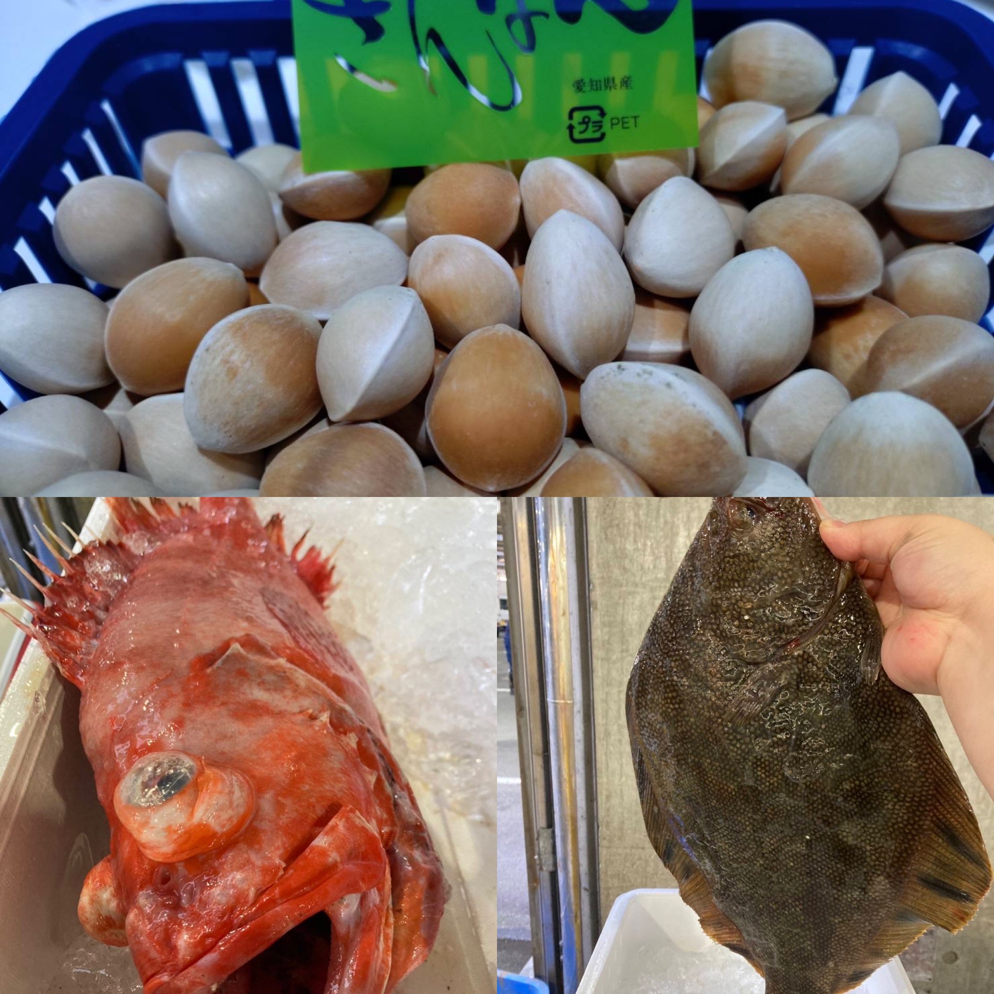 銀杏🍂メヌキ🍂マツカワ