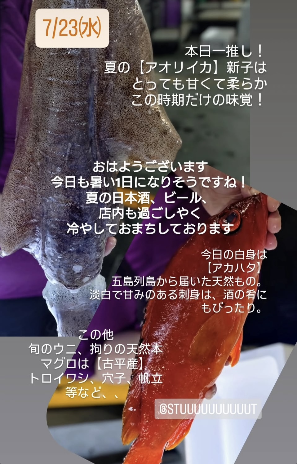 涼みに来ませんか〜？