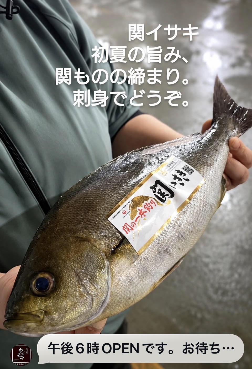 関イサキ登場！！