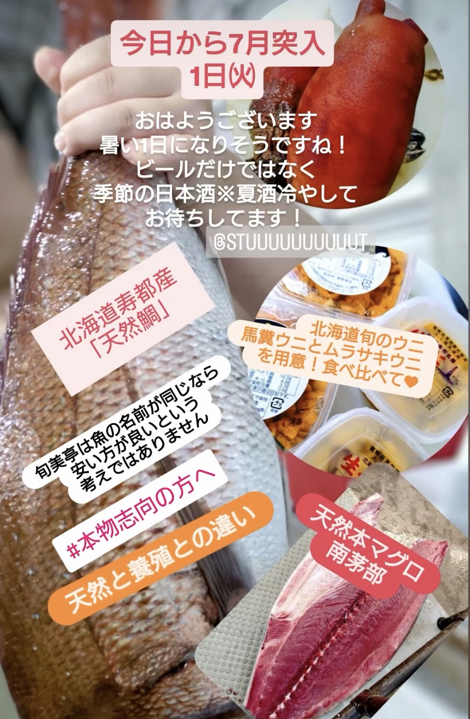 半夏生(はんげしょう)とは？