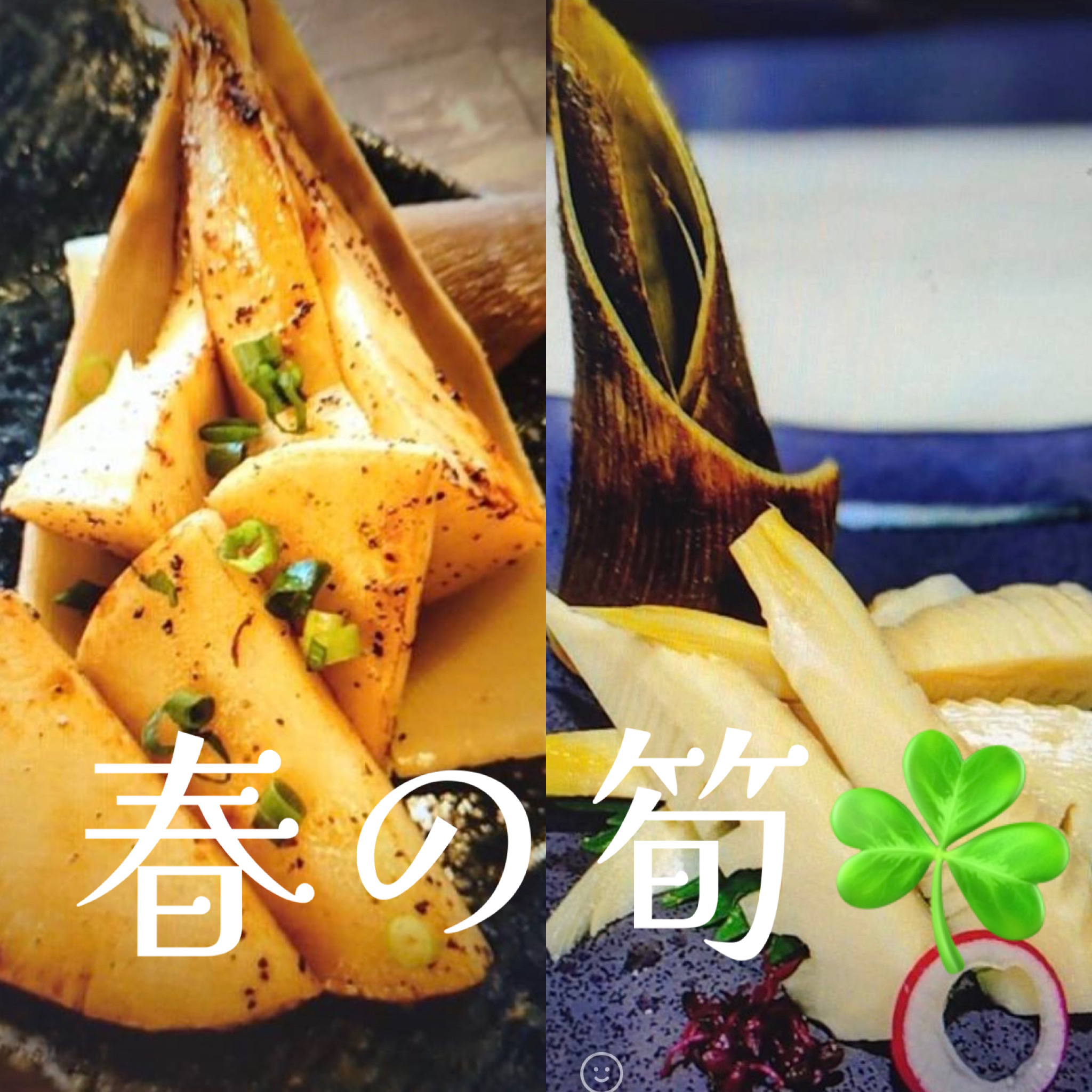 薩摩の筍で春の味わい☘️