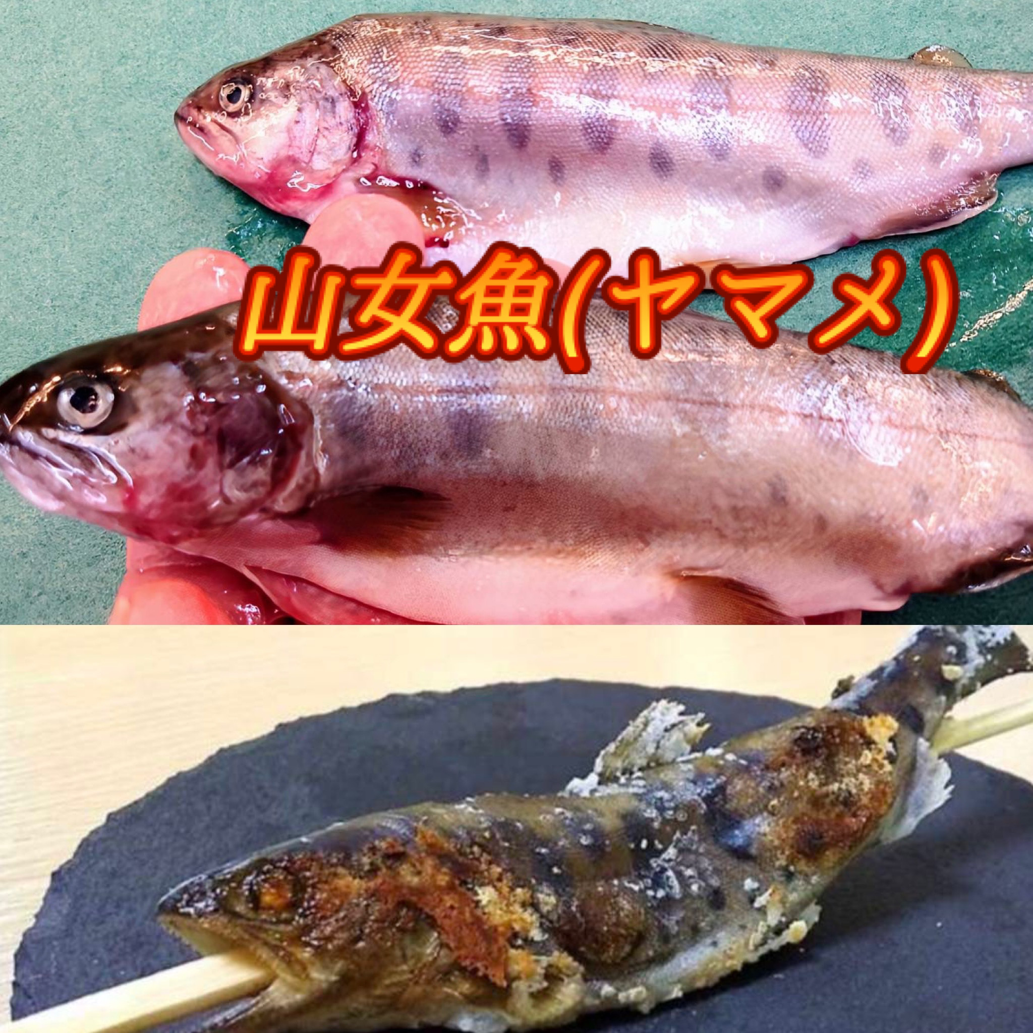 山女魚！読めるかなー？