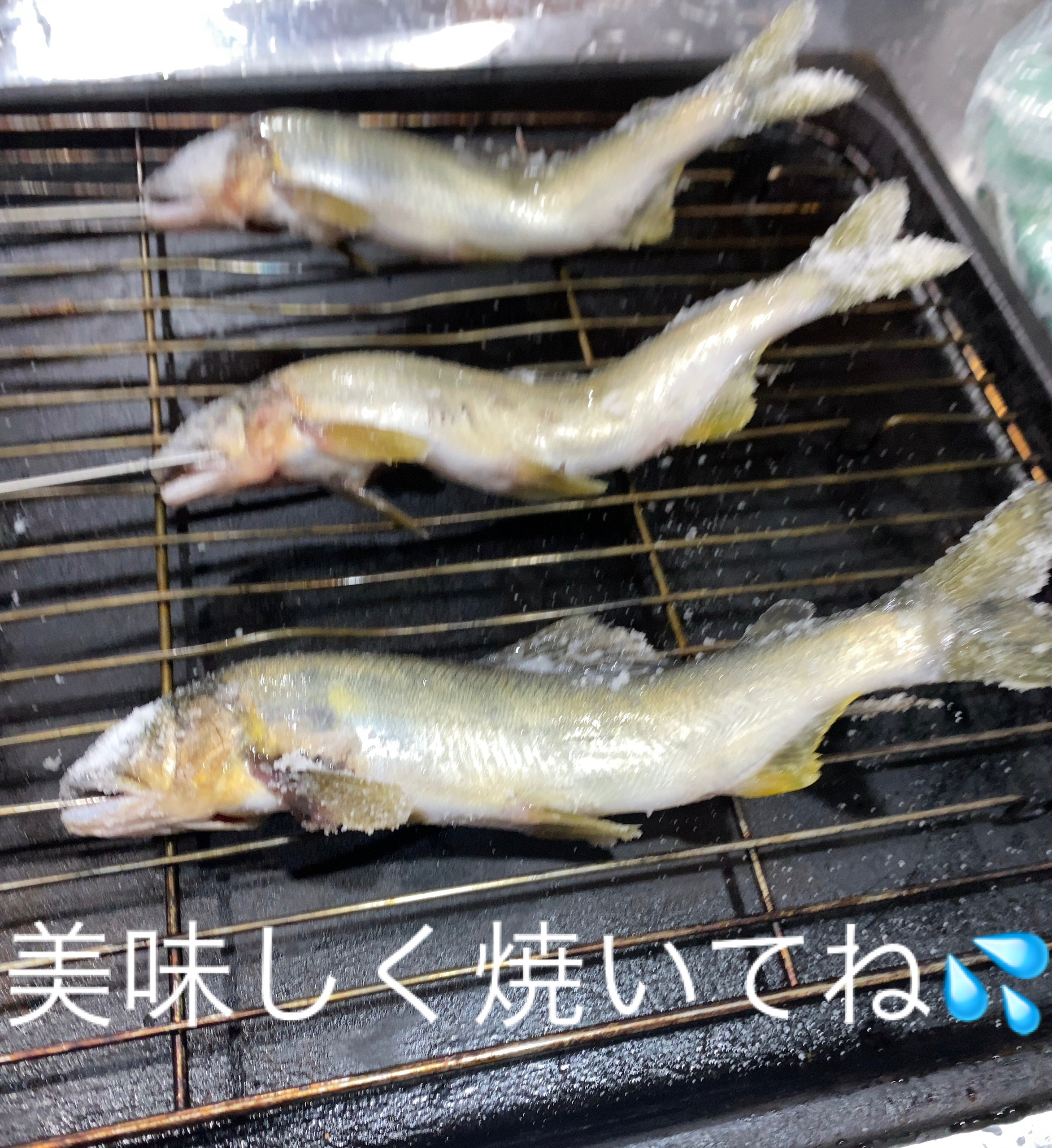 香魚の季節先取りです！鮎！