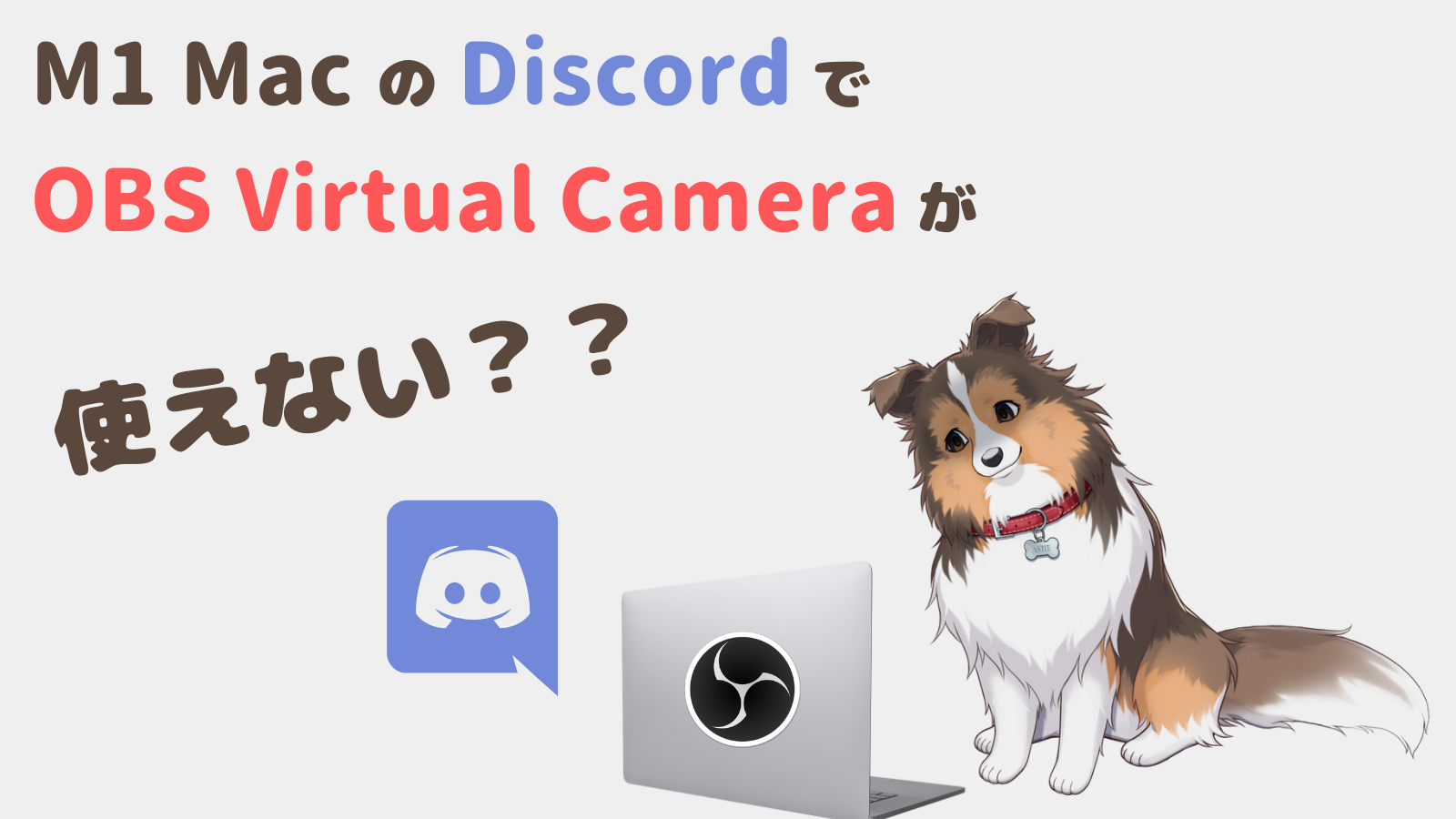 M1 Macのdiscordやteamsでobs Virtual Cameraが選択できないときの対策 プログラミング犬 アスティ