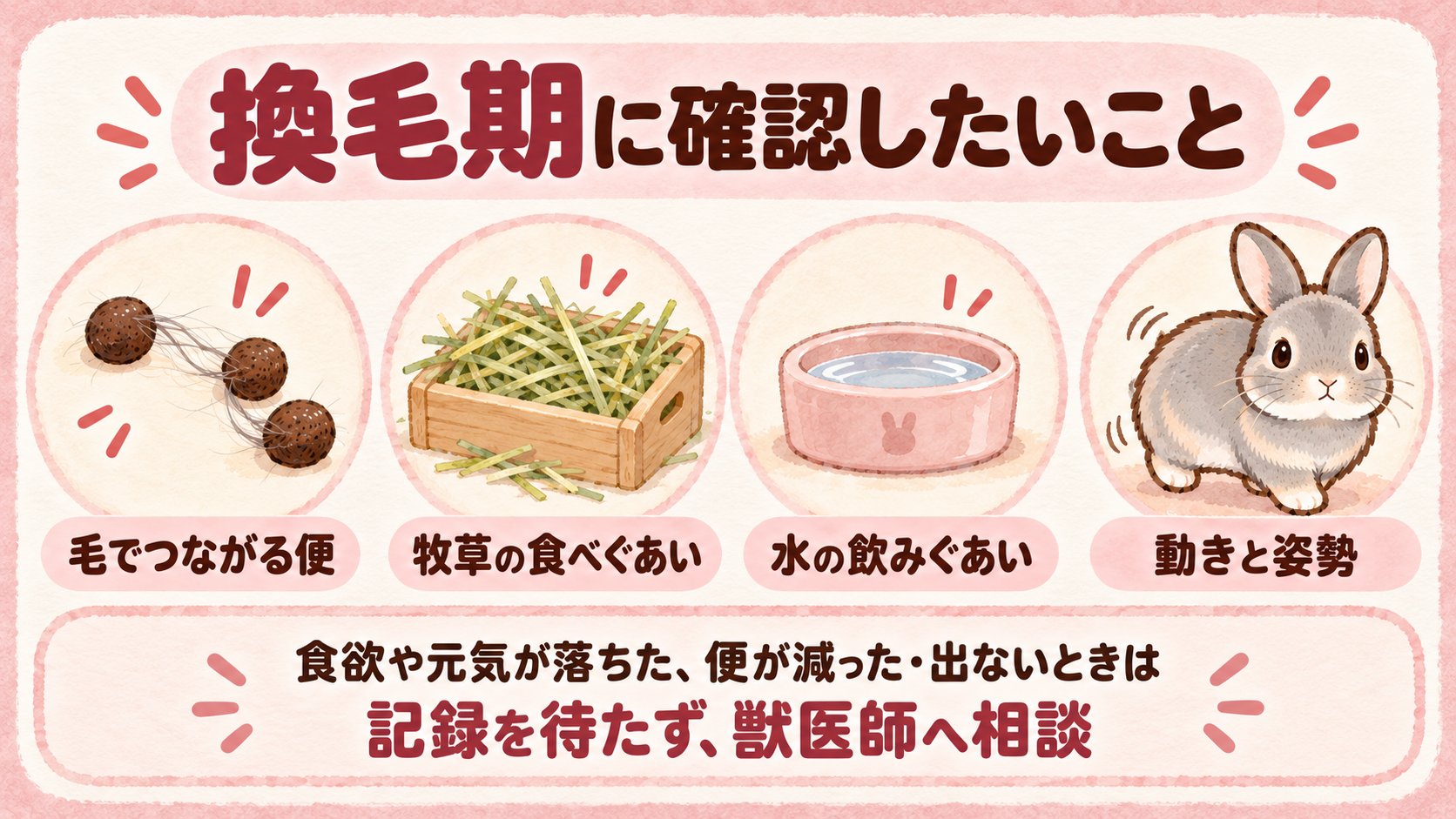 毛でつながった丸い便、牧草、水、ふうちゃんの動きを、換毛期の観察項目として示すローズ色の水彩イラスト