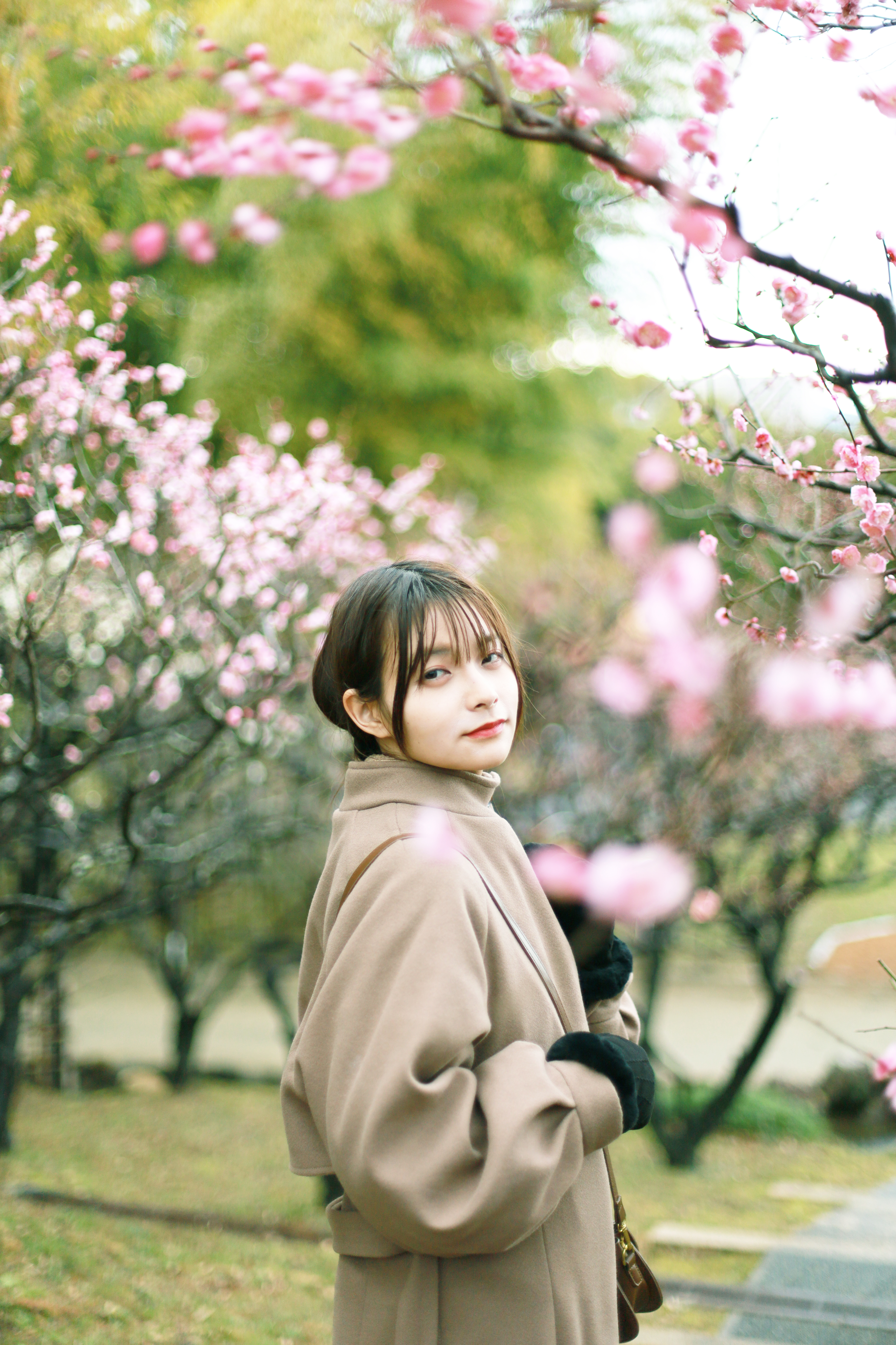 万博記念公園の画像2