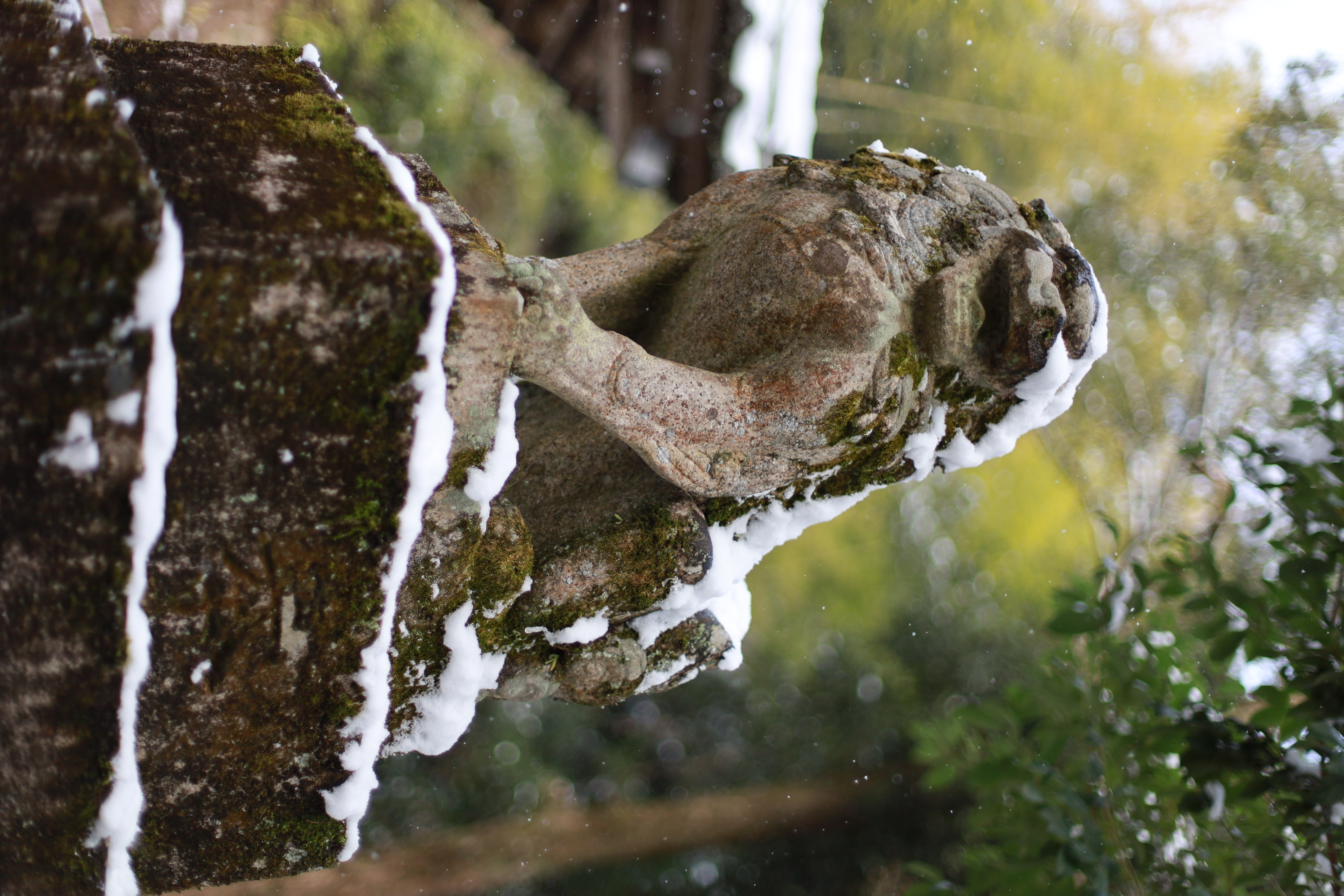 椎尾神社の画像1