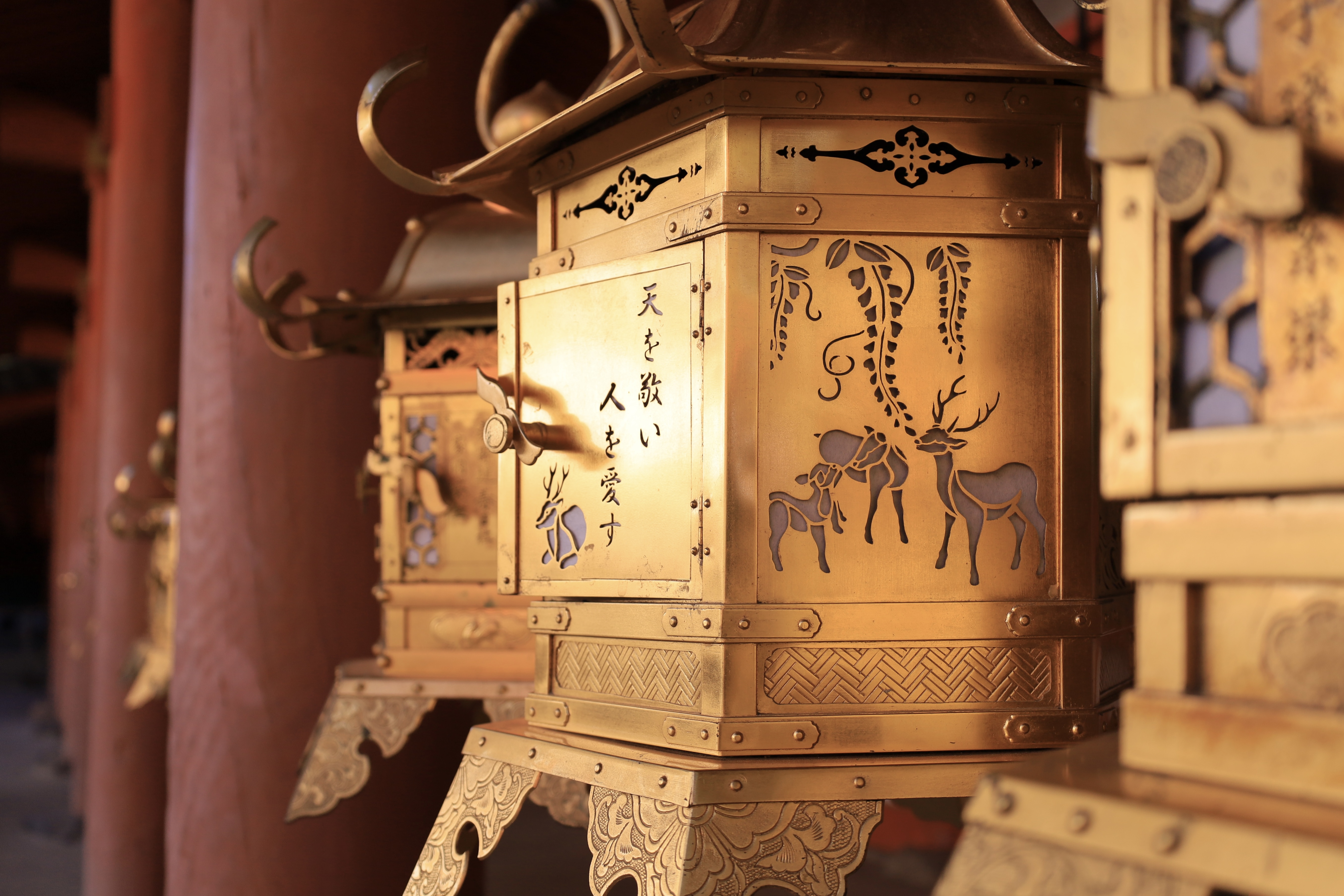 春日大社の画像5