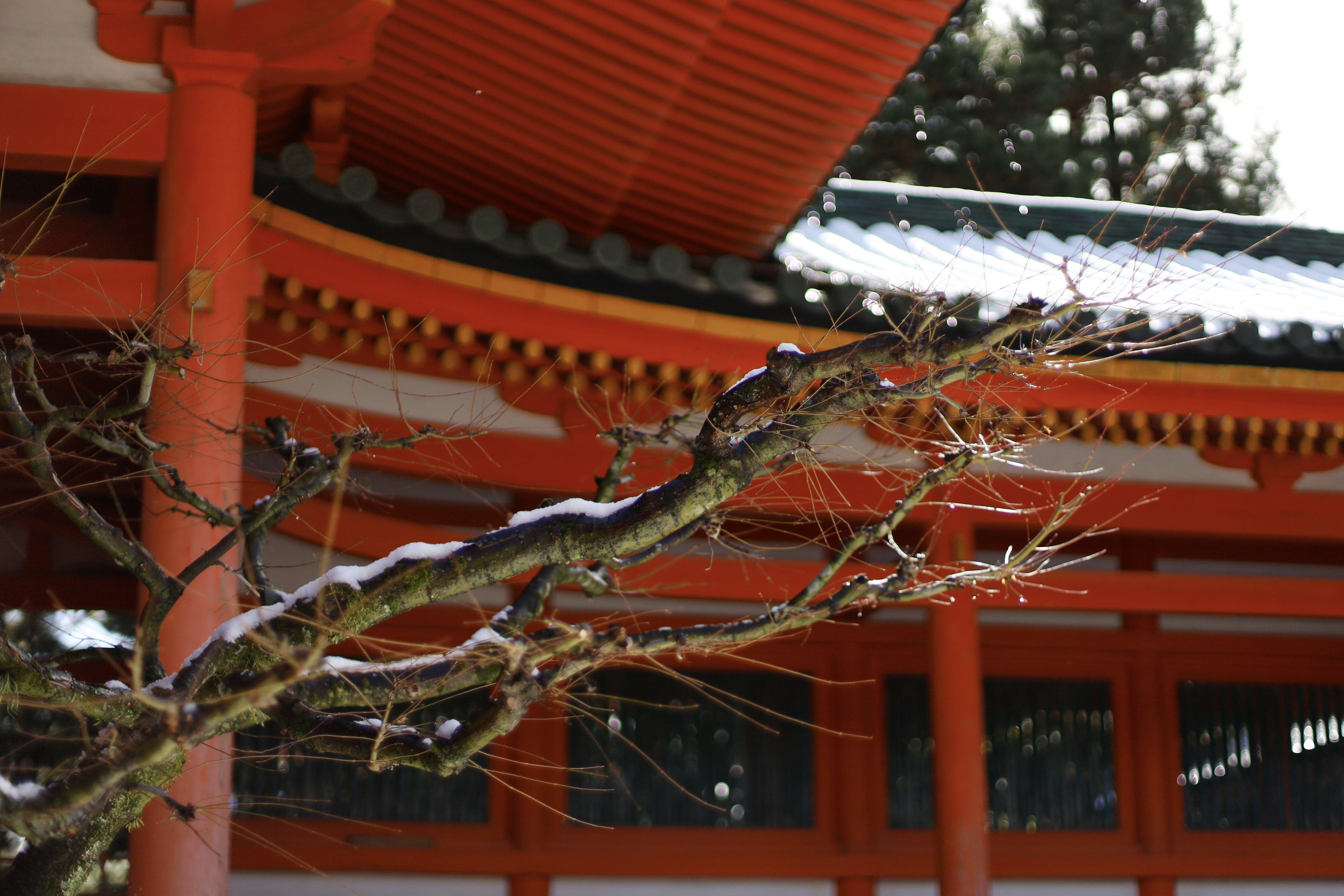 平安神宮の画像7