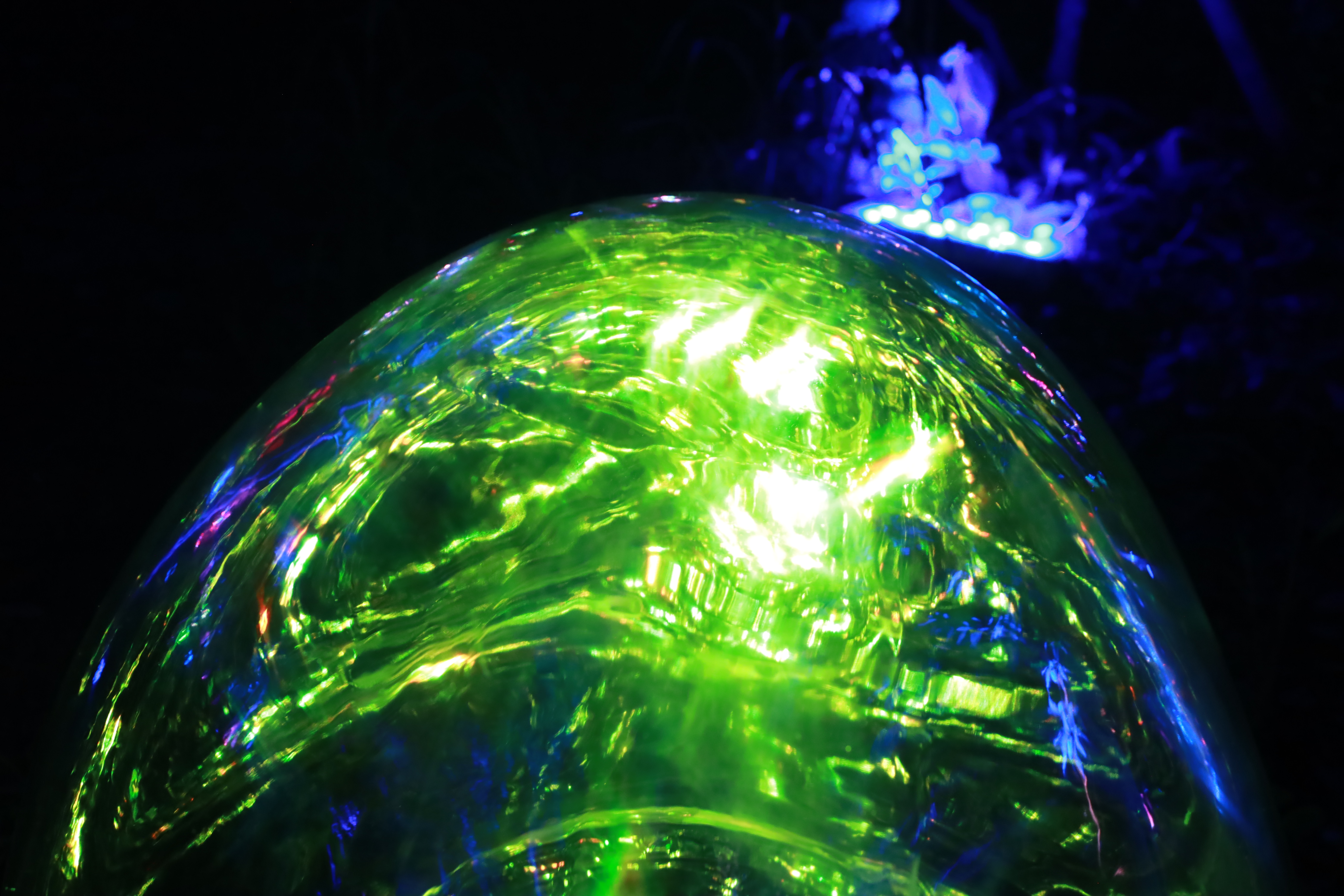 長居植物園の画像7