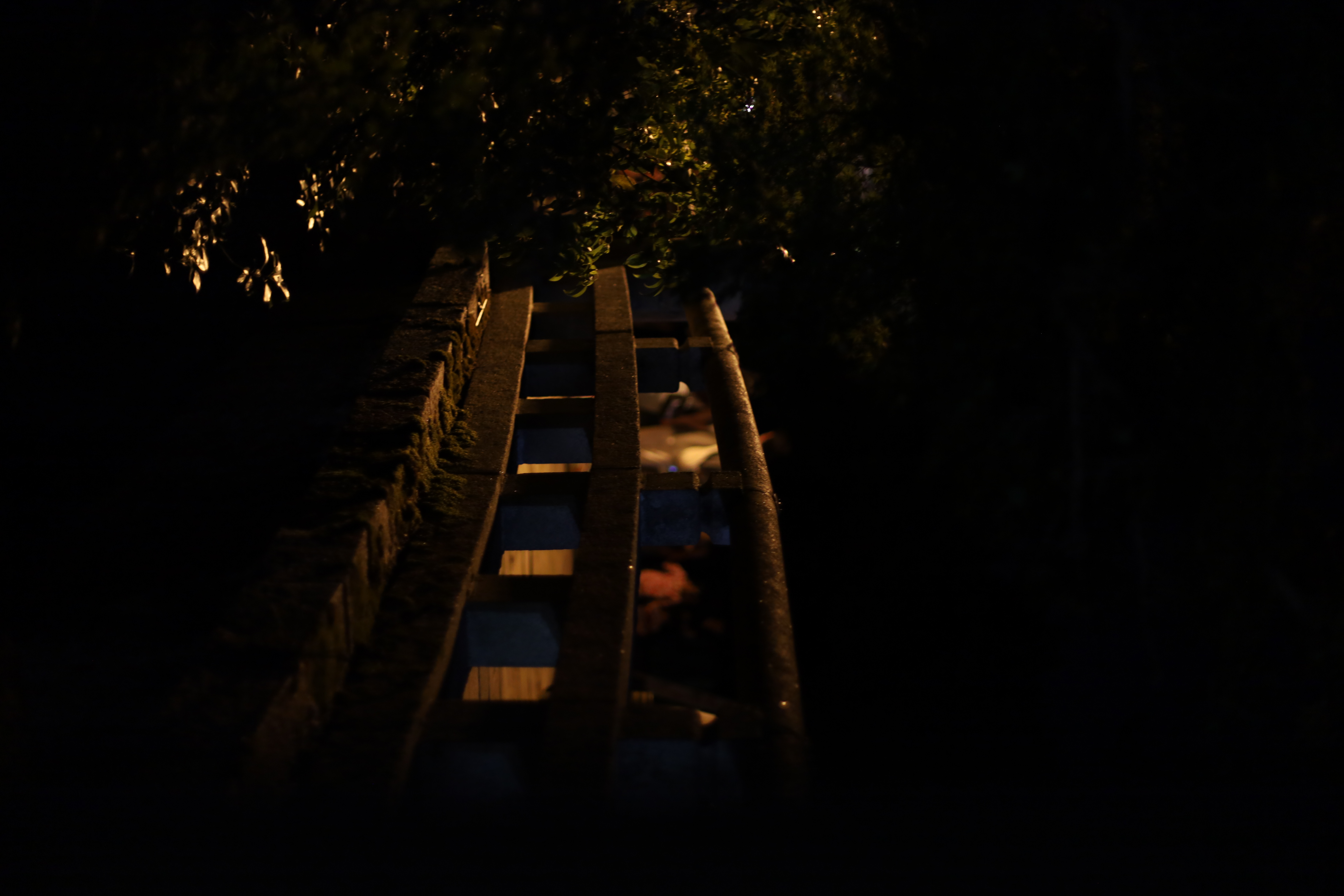 なら燈花会の画像3