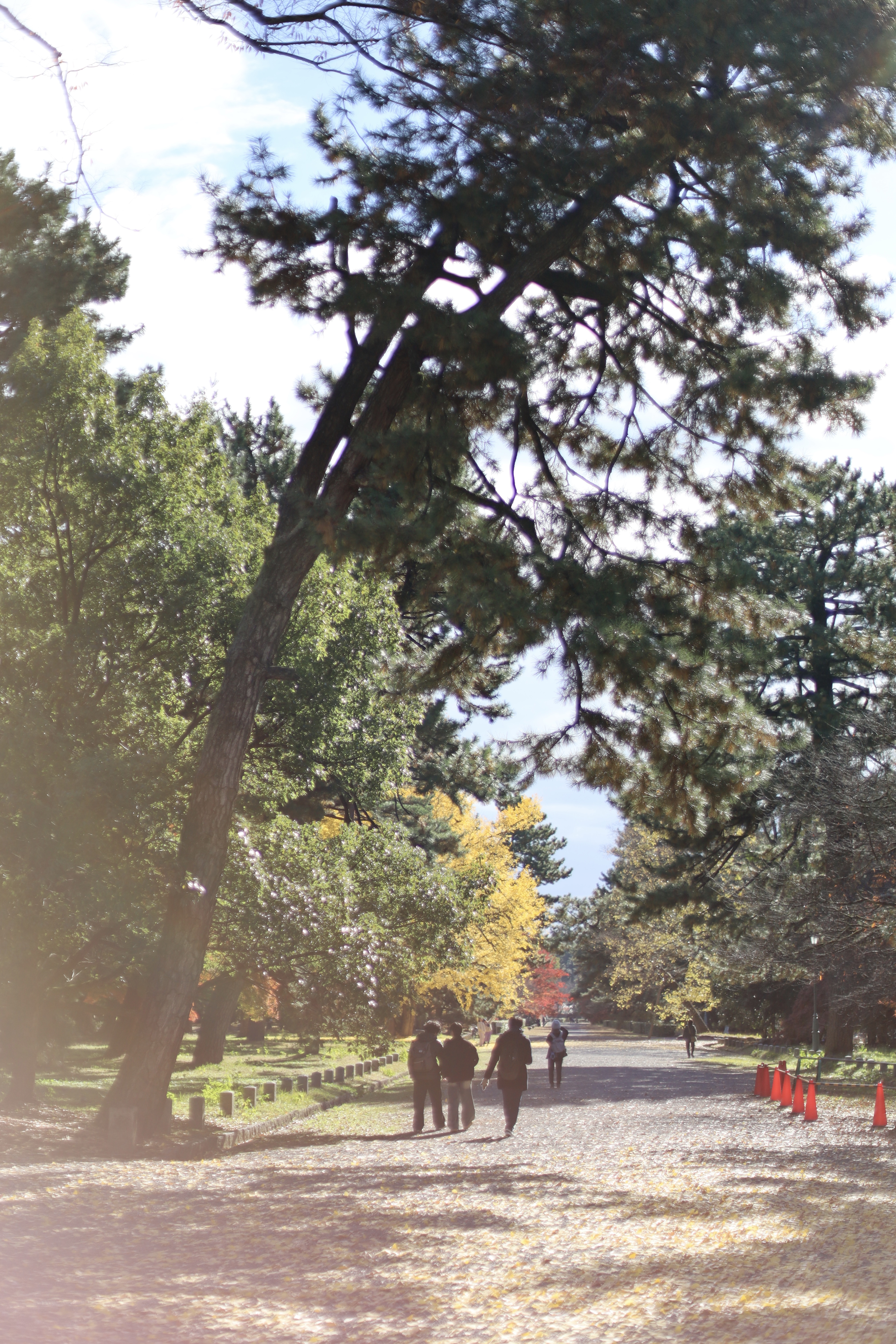 京都御所の画像2