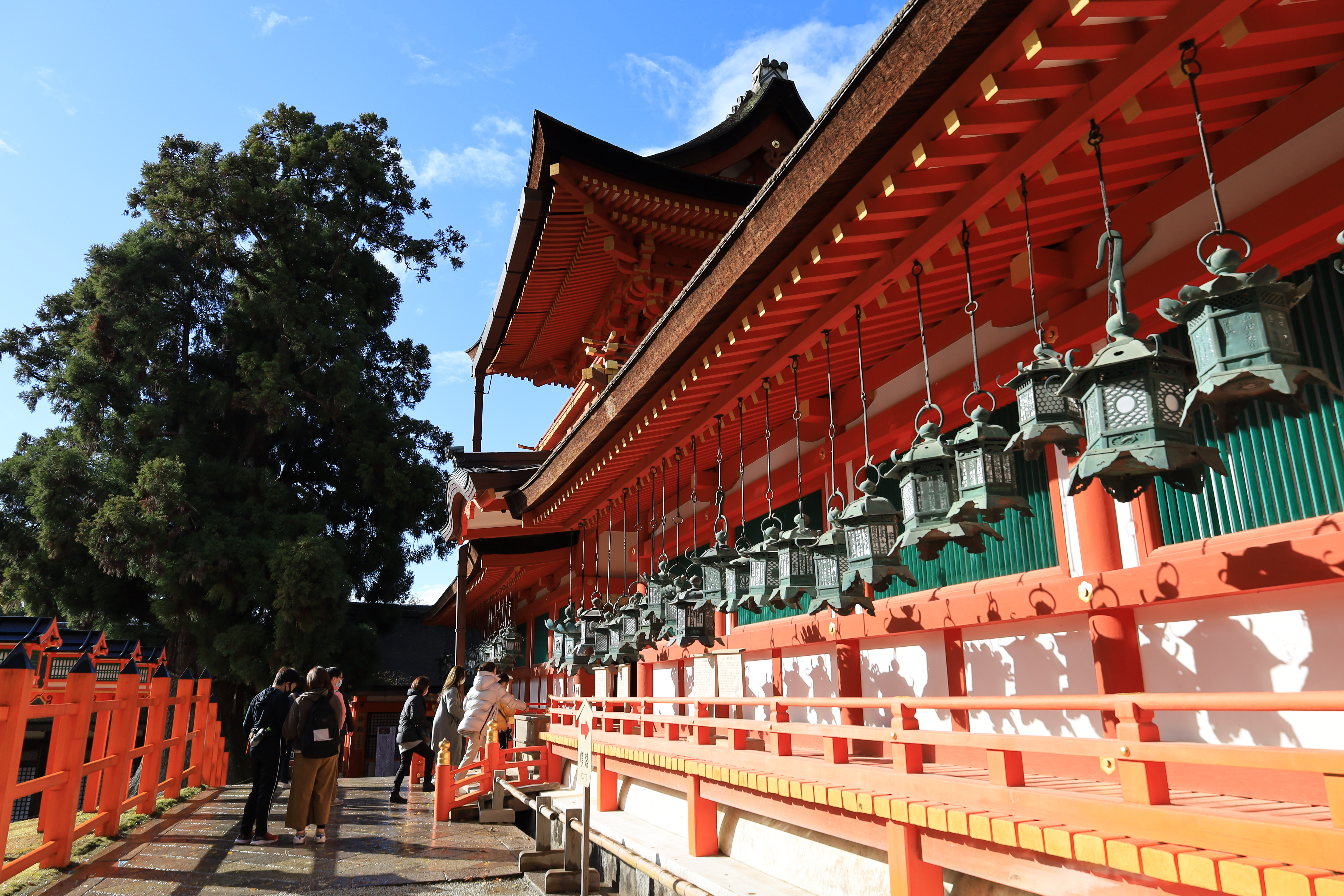 春日大社の画像1