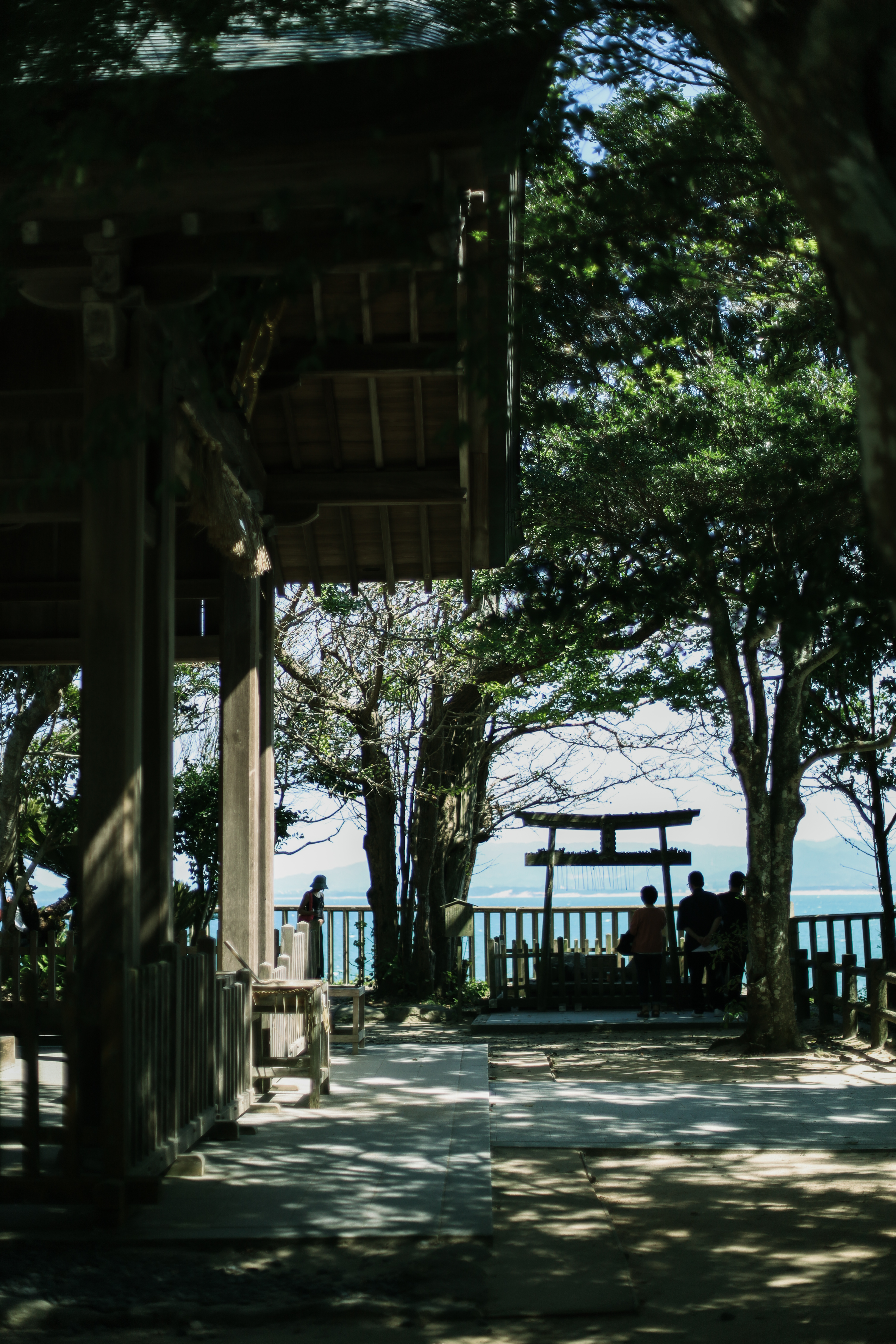 志賀海神社の画像1