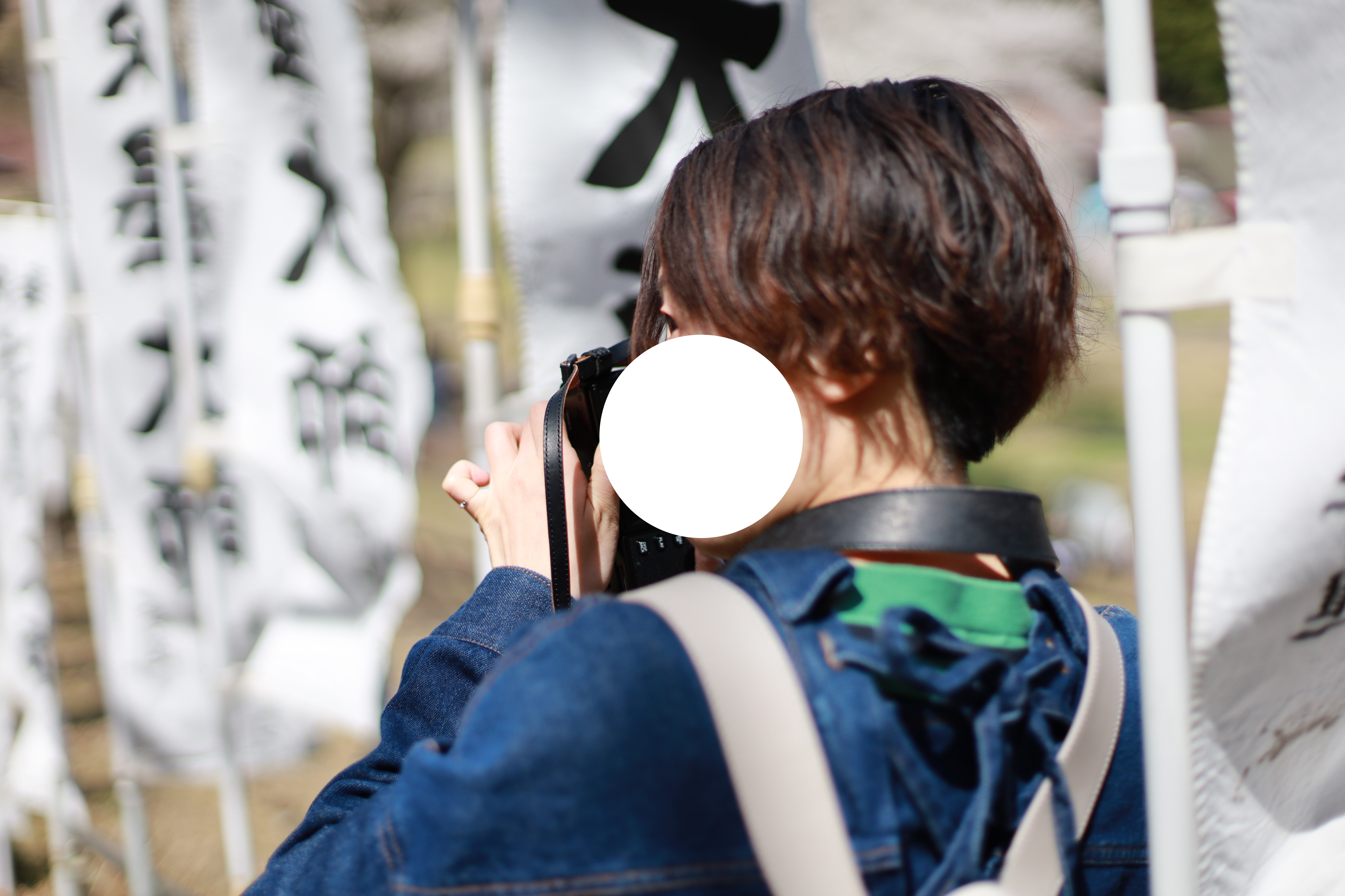 根尾谷・淡墨公園の画像3