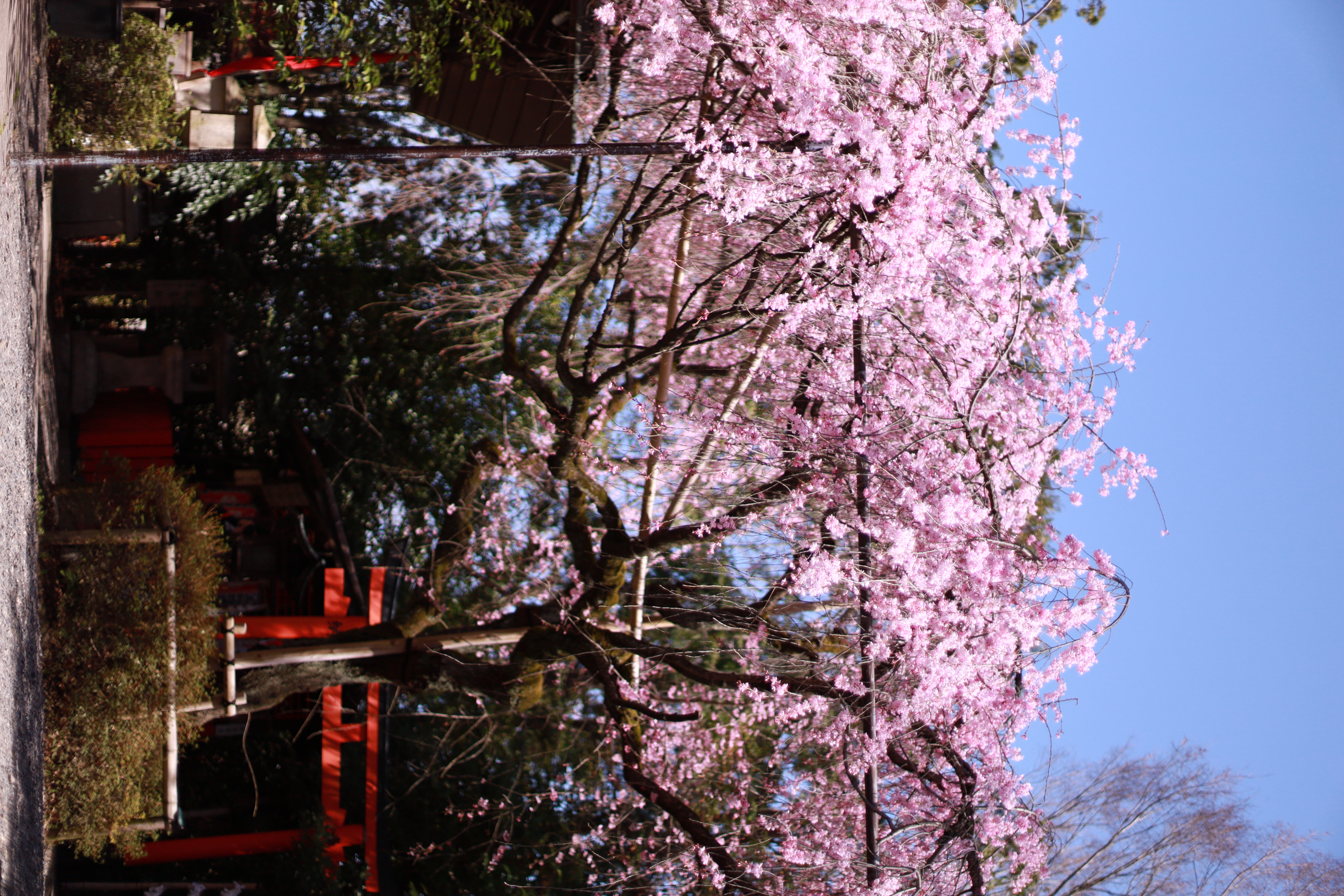 水火天満宮の画像9