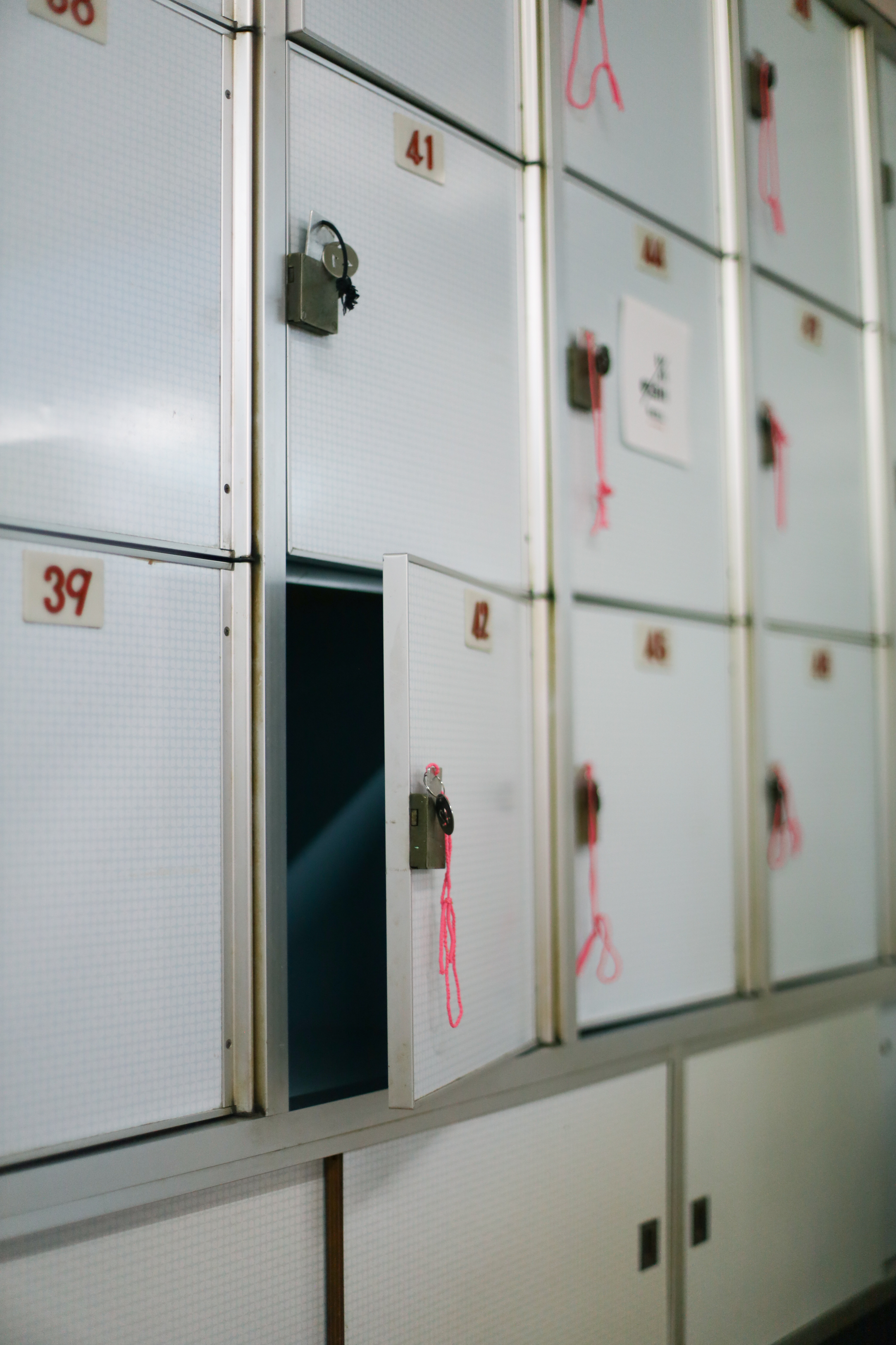 寿楽温泉の画像3