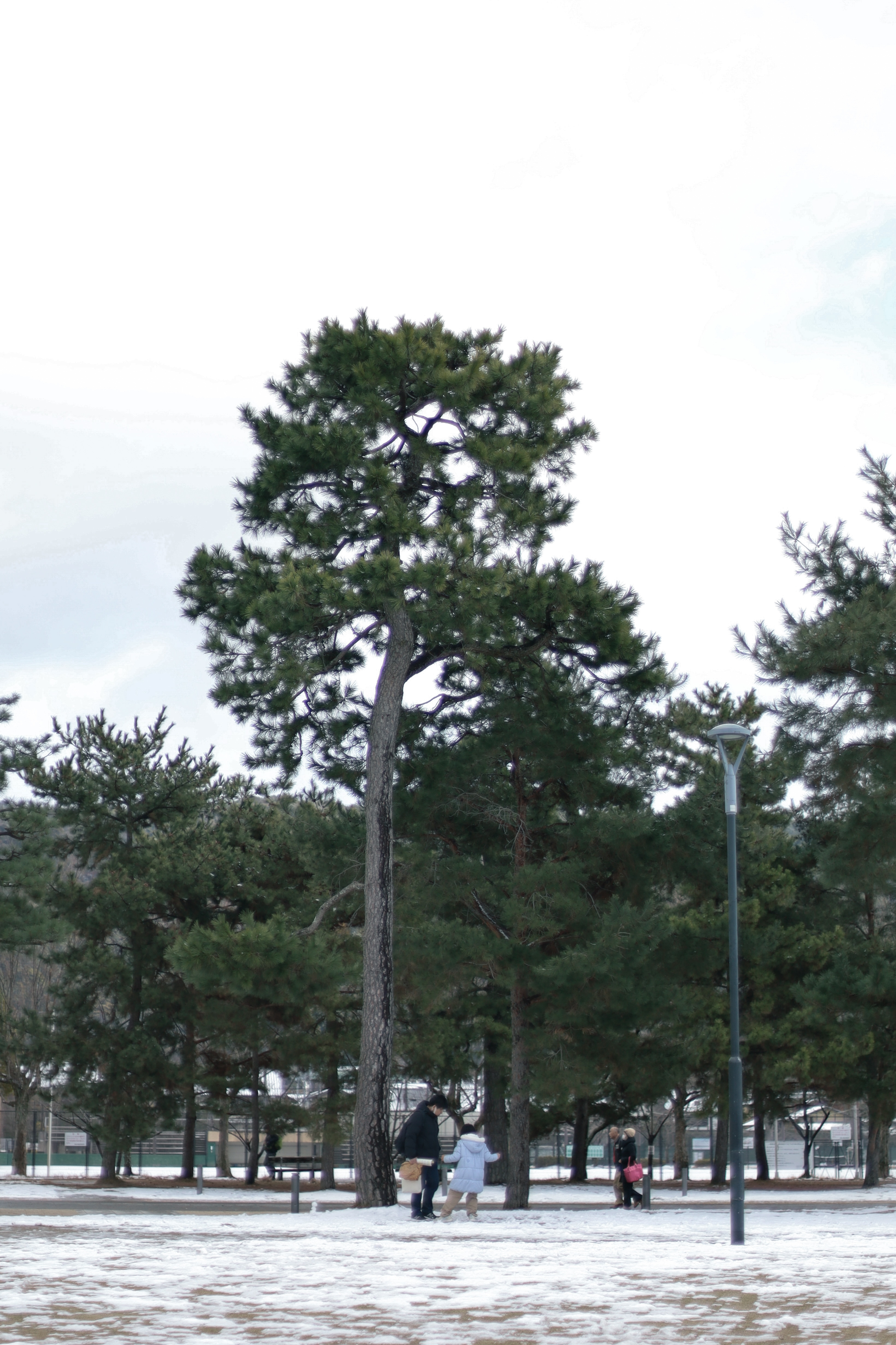 平安神宮の画像4