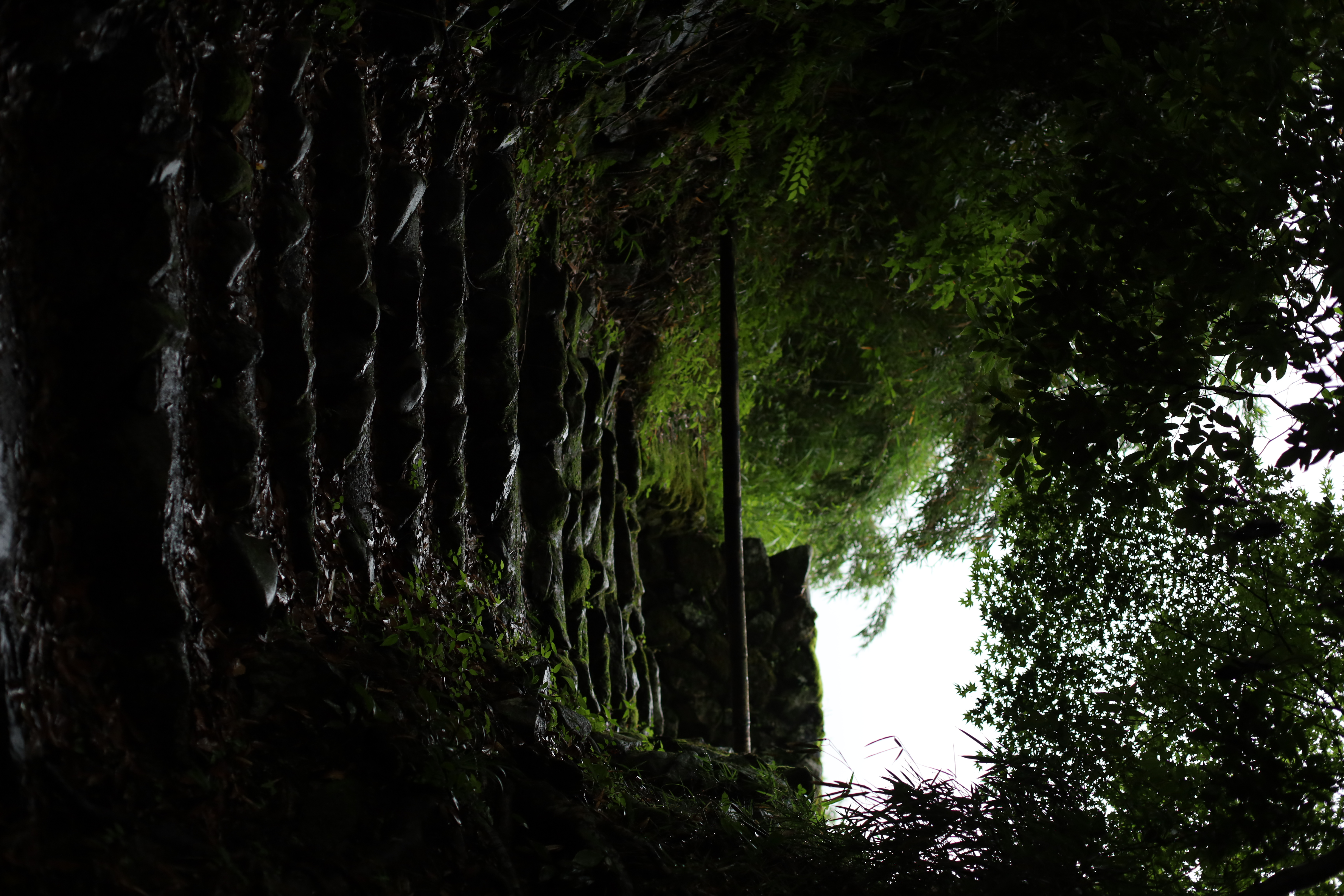 三千院の画像10