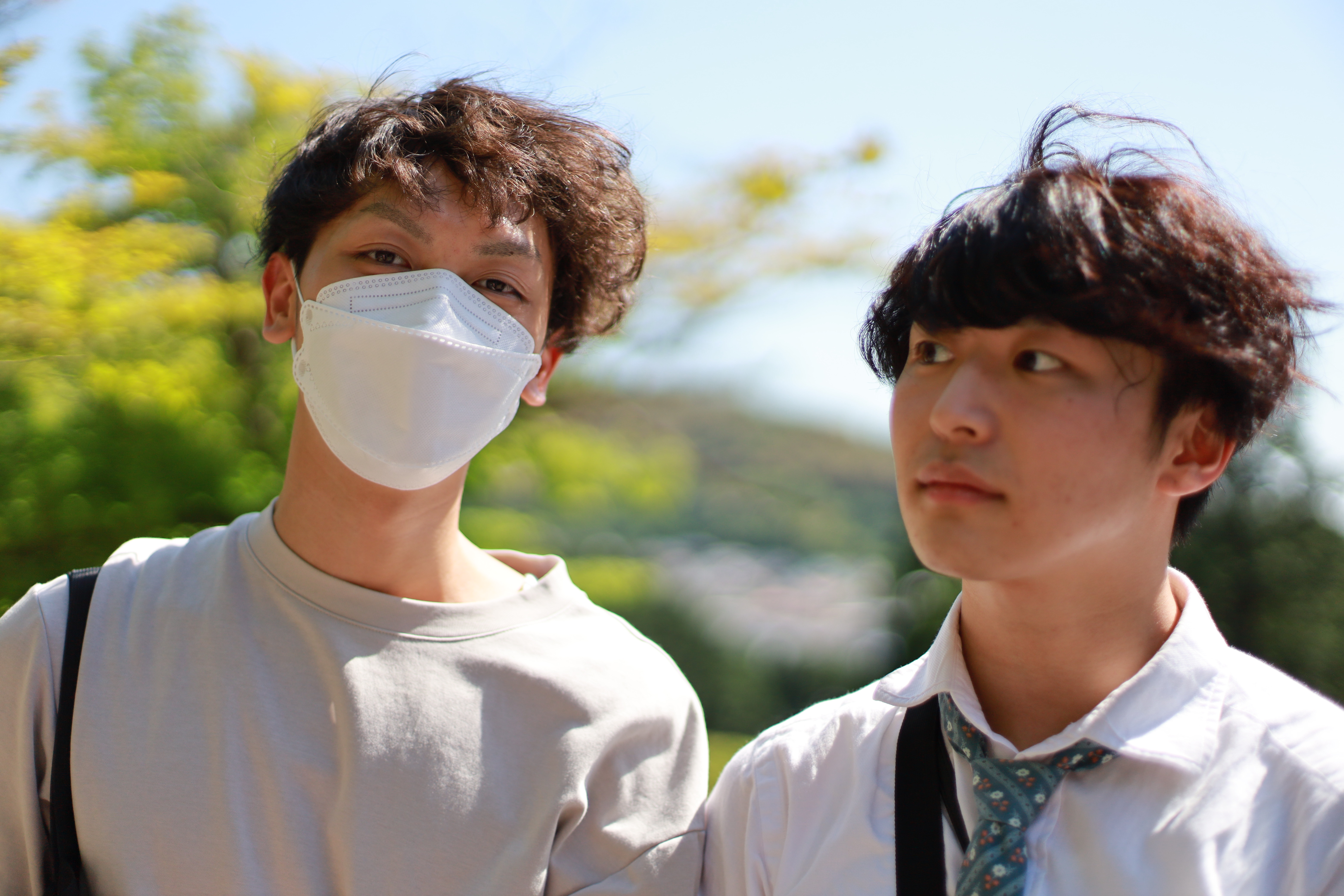 三室戸寺の画像1