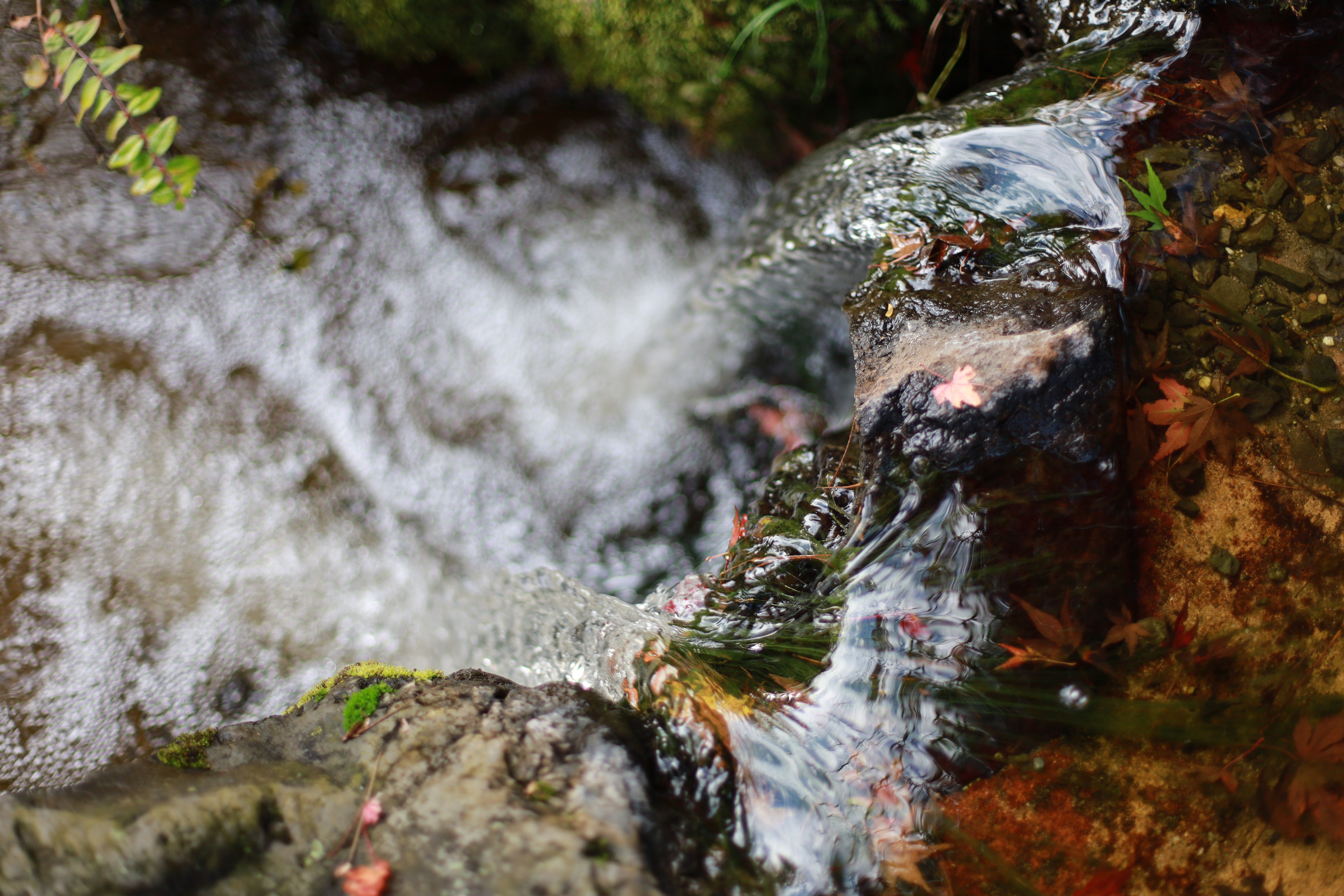 大山崎山荘美術館の画像2