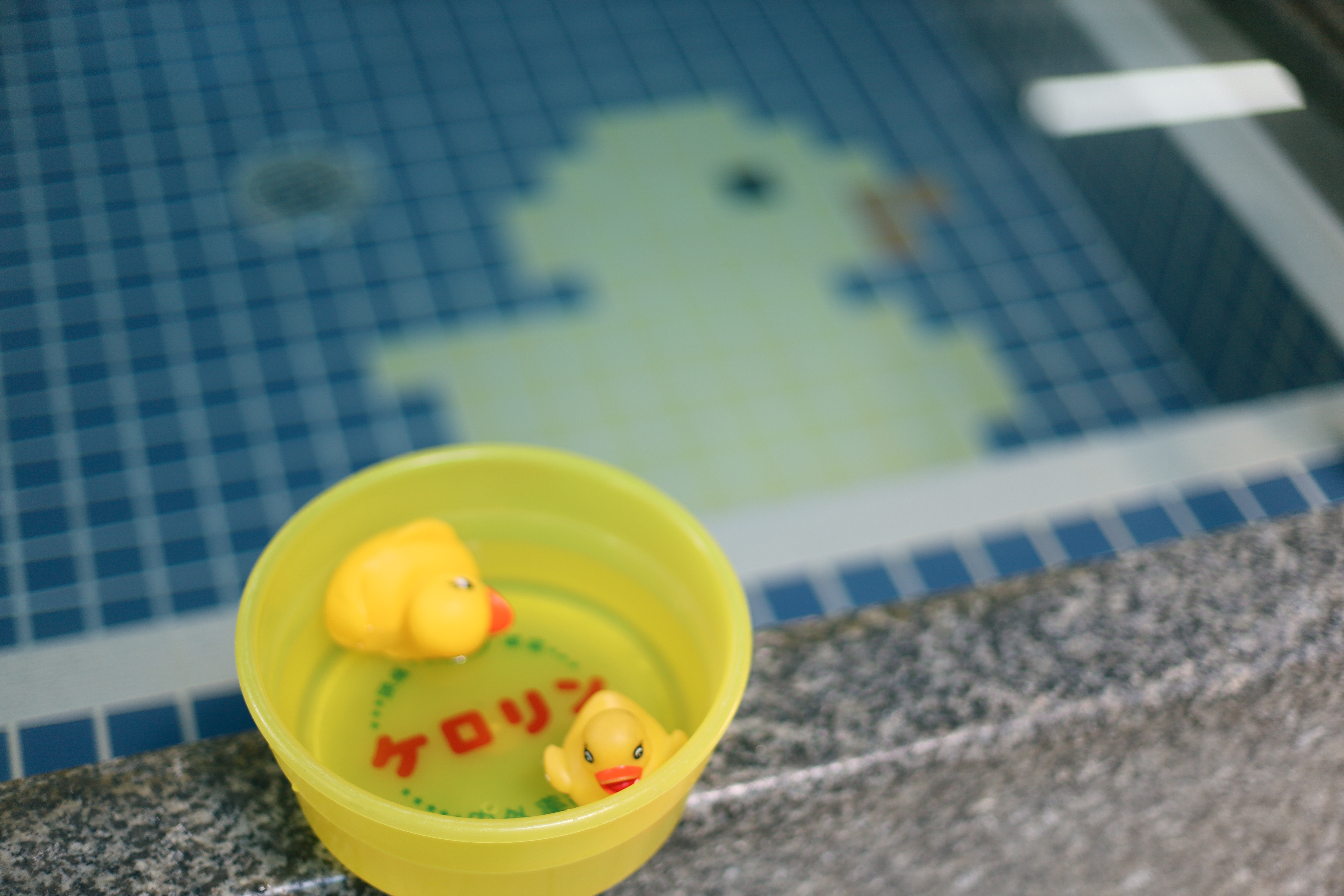 寿楽温泉の画像7