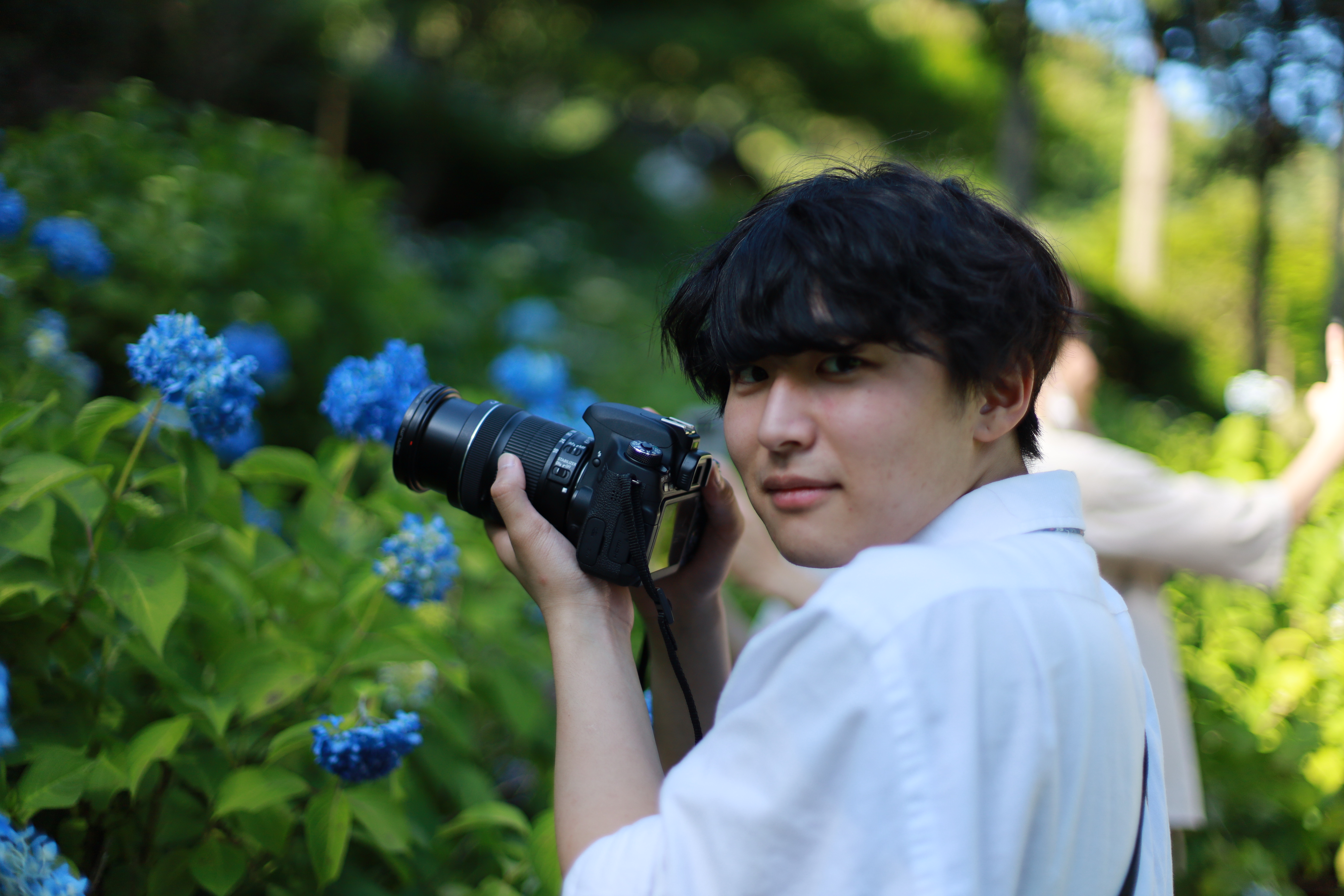 三室戸寺の画像5