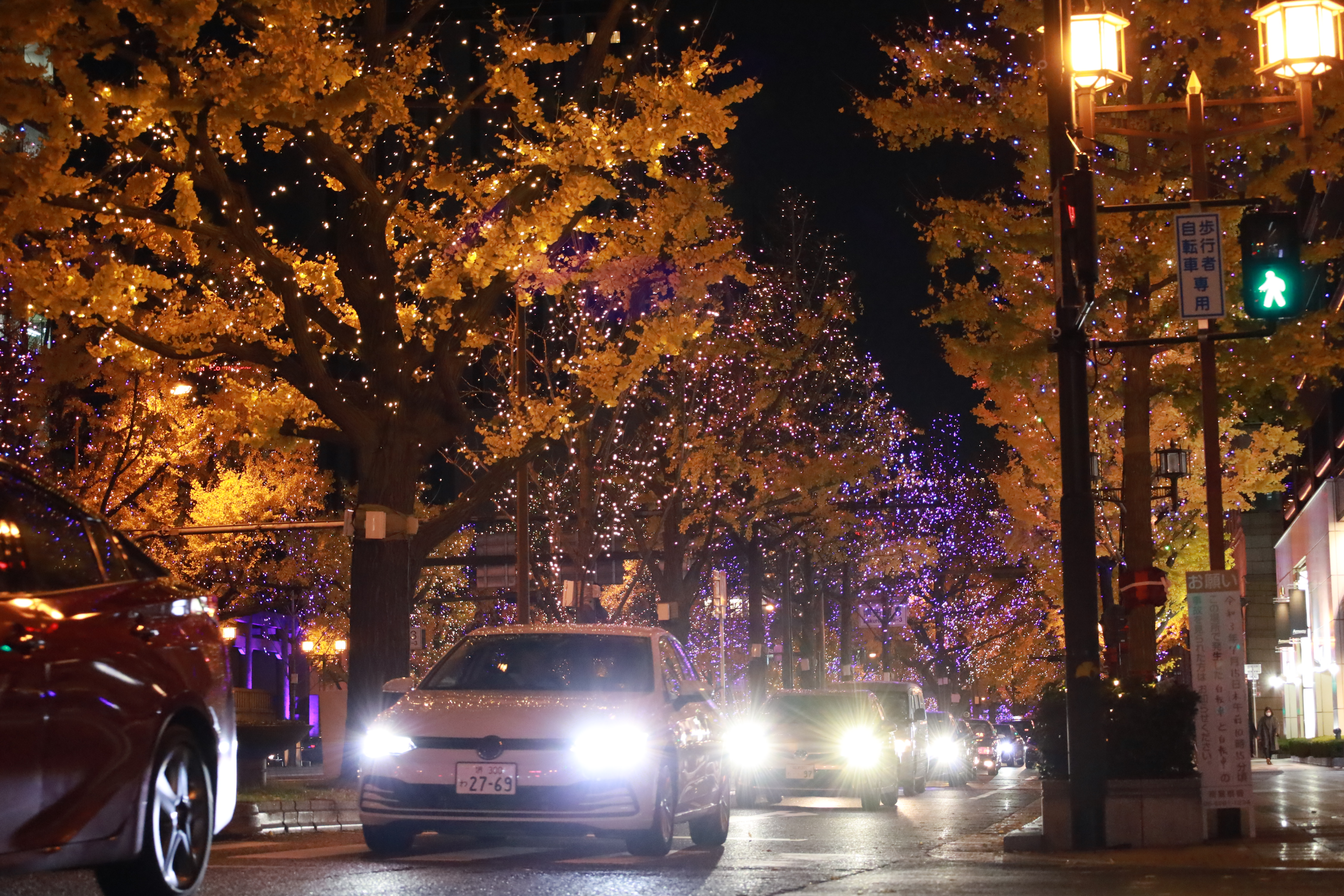 光の饗宴の画像3