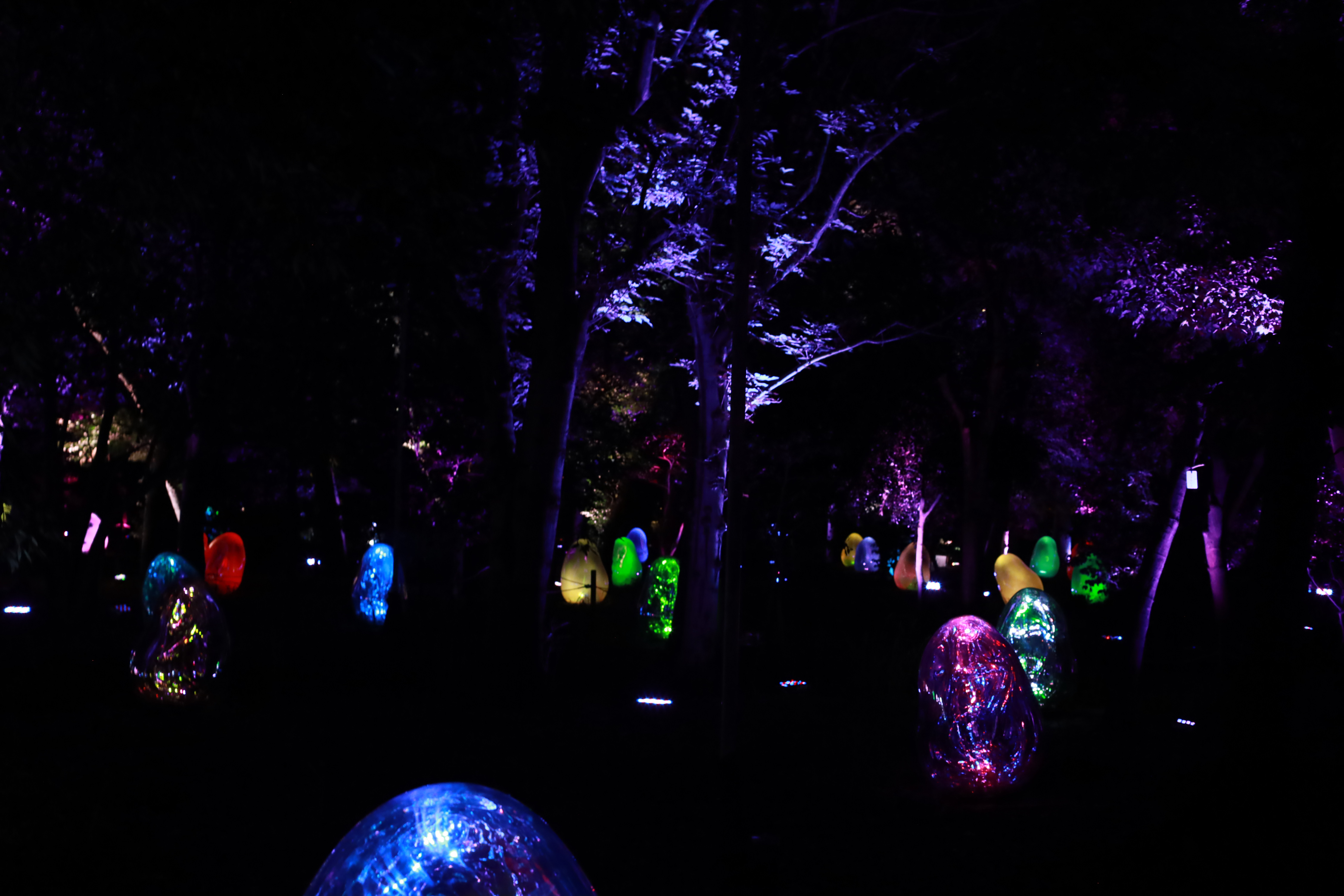 長居植物園の画像1